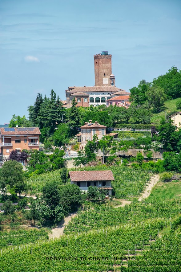 Fotografie Borgo di Barbaresco - Langhe