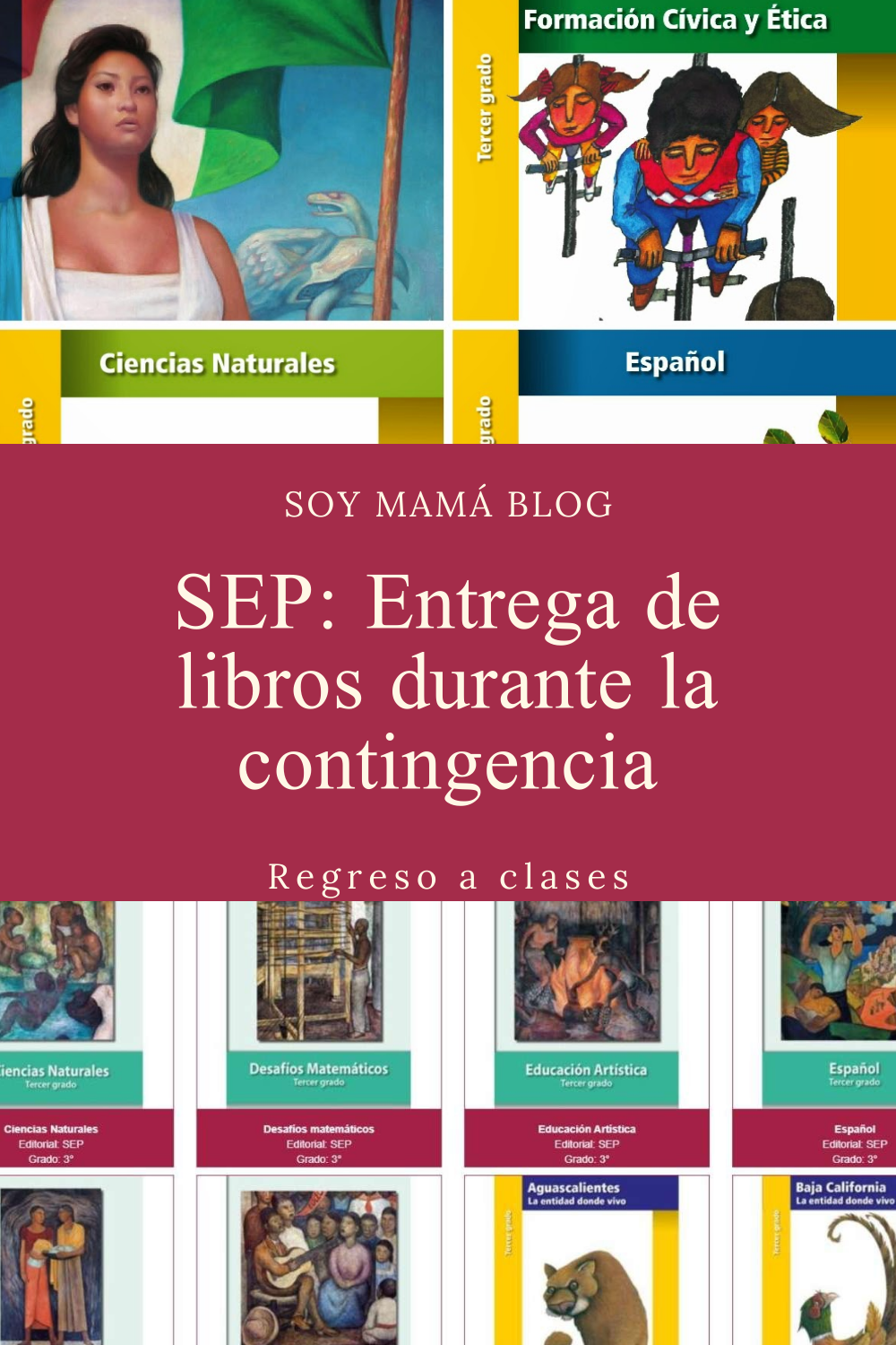 SEP: Entrega de libros durante la contingencia | Soy Mama Blog