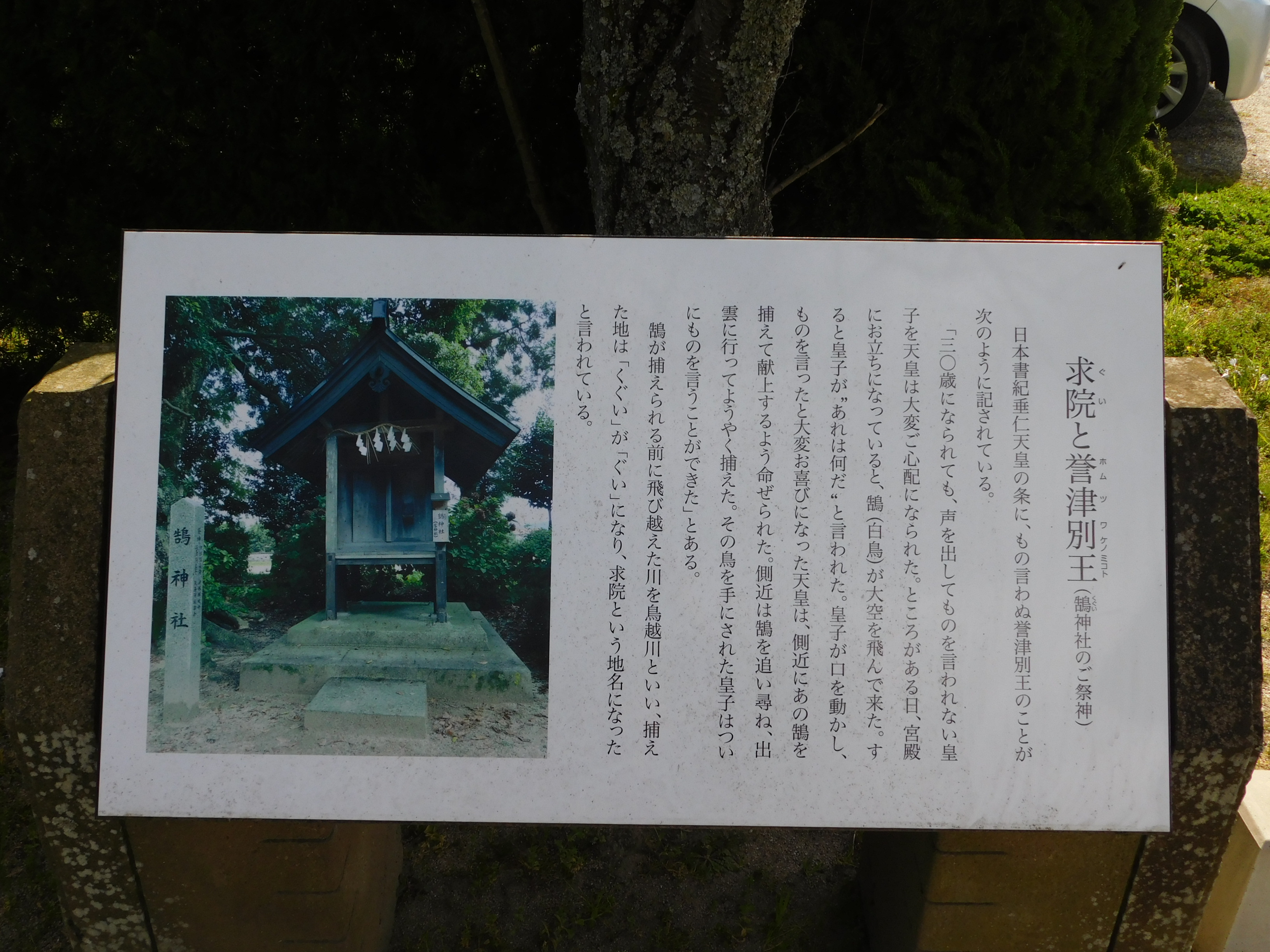 12. �u���@ (����) �����{�v (���̋����ɂ���ɐ_�� !! �u�� (������) �_�Ёv) (�̕����Ȃ��[)