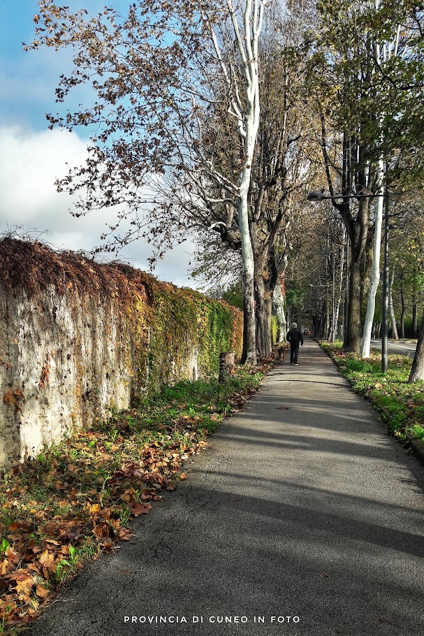 Fotografie Viale degli Angeli - Cuneo