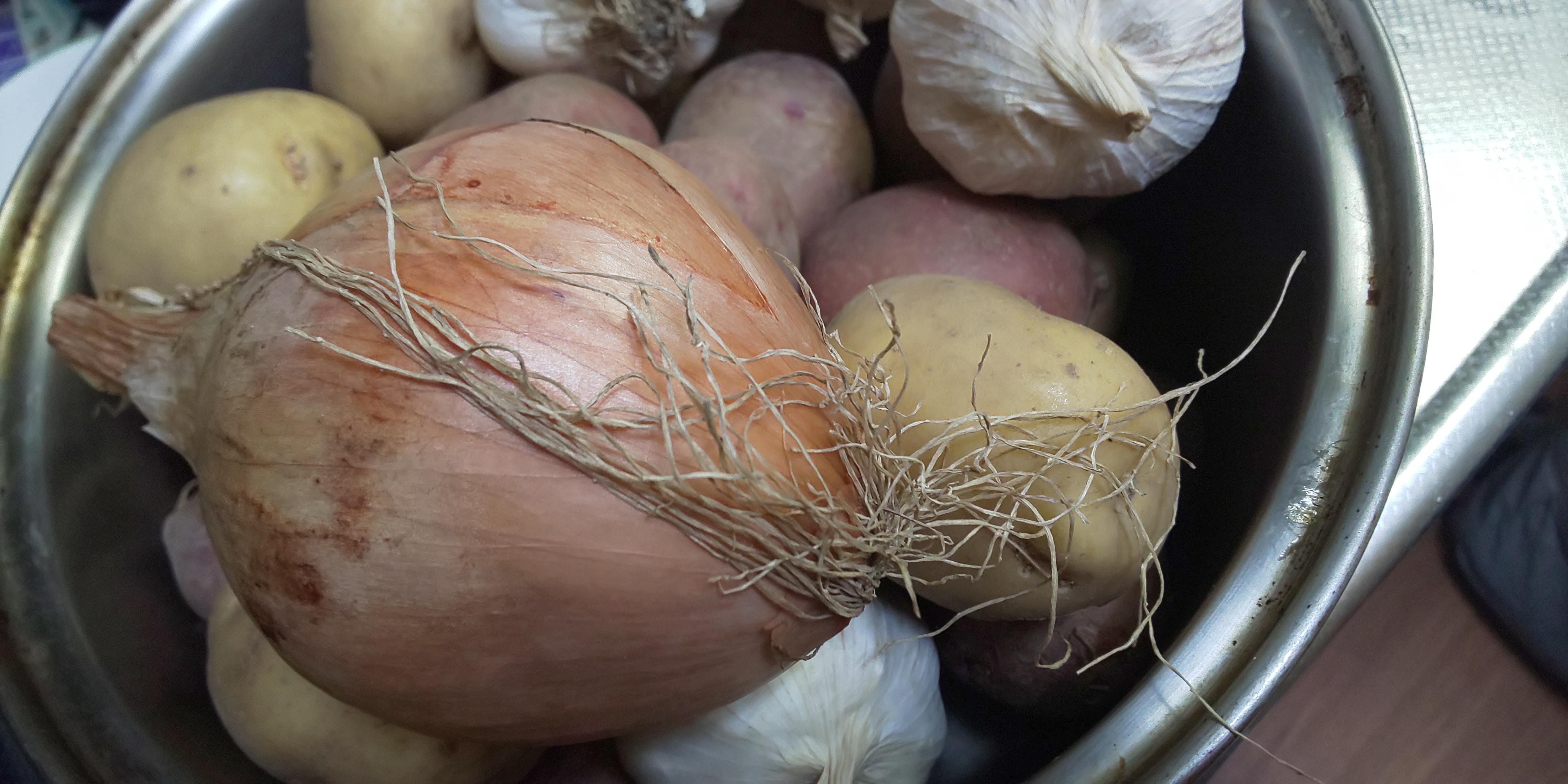 [j̗] (j[{) |eg̗ 3A  Iɉ䂪Ƃɂ́Aɓꑰ (j[{̐eʋ)  Ⴉ  ʂ˂  ɂɂ   ͂܂B  A1ڂIāA2ڑȎfށB