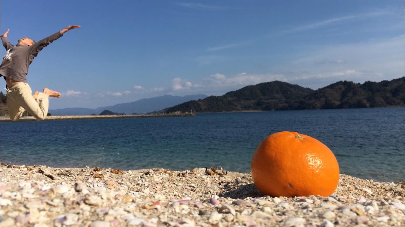 �u�͂�݃I�����W�v�B���Ȃ��ɂ��ЂƂB�ڂ��ɂ��ЂƂB���˓��̓�����͂����t�̕ւ�B