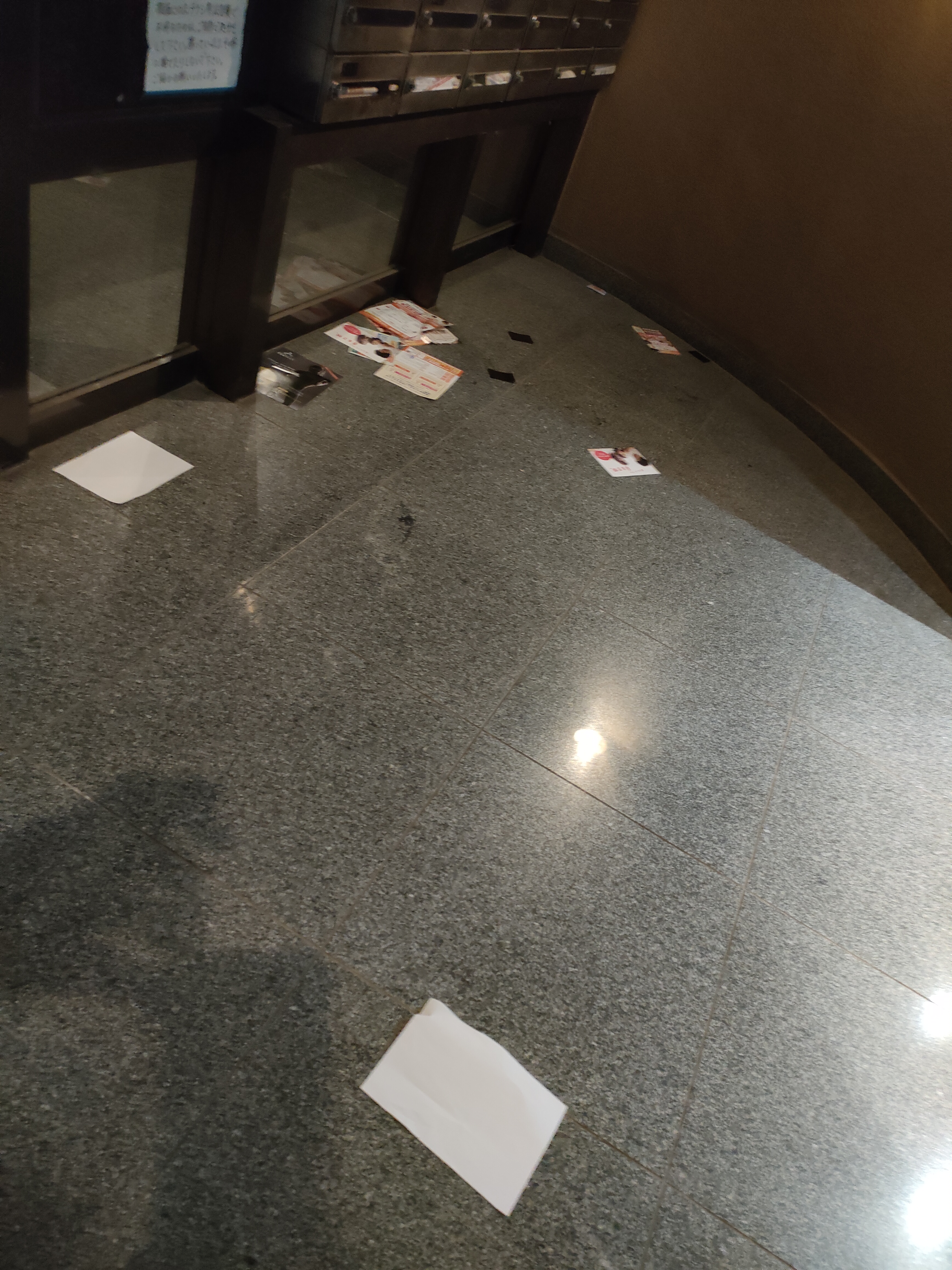 �����猾��񂱂�����Ȃ��B���̌ł��l�́A���� ���₾�B