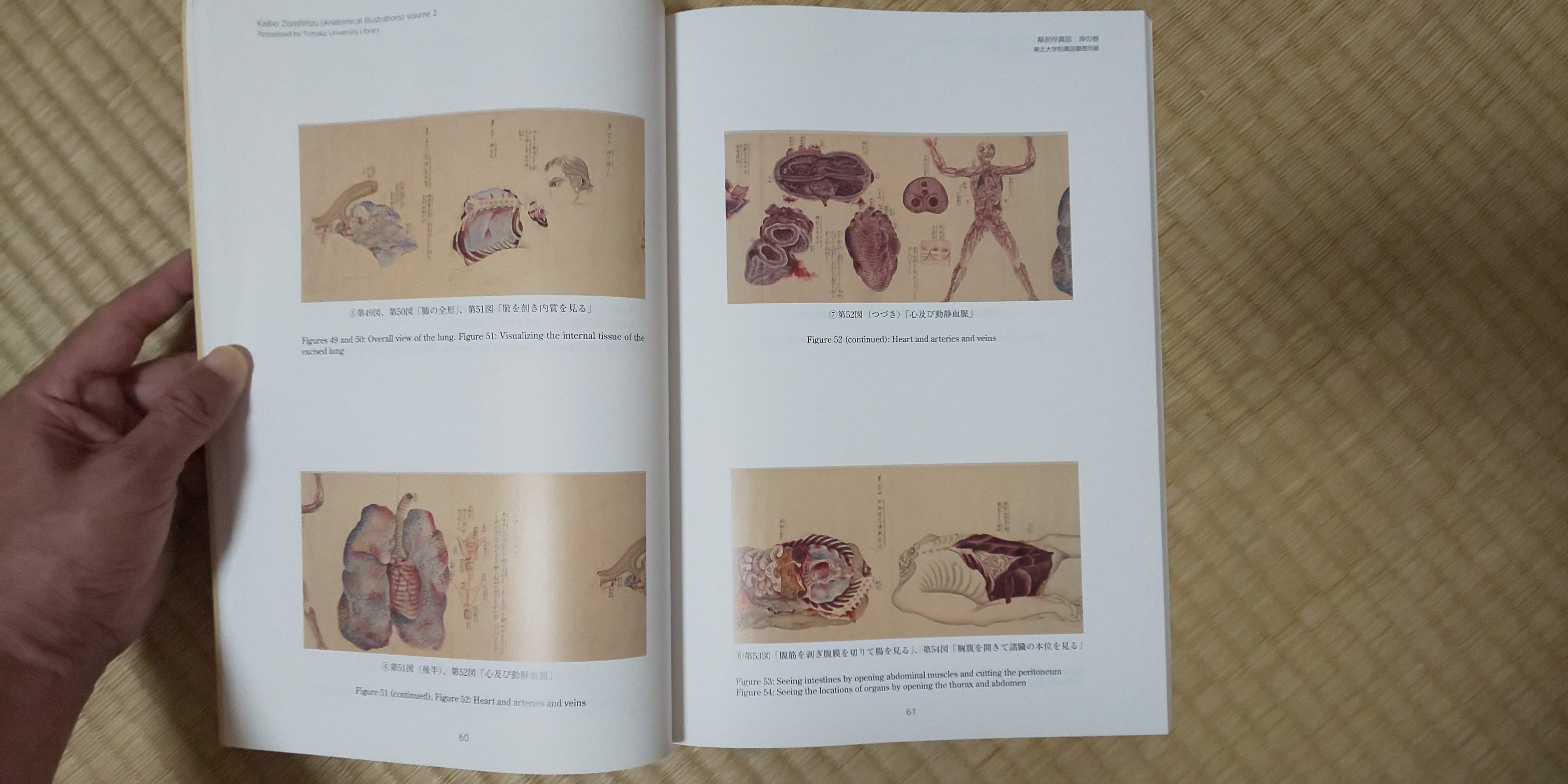 ��U���^�} (�����ڂ����񂵂�) ���̊� ���k��w�����}���ُ���