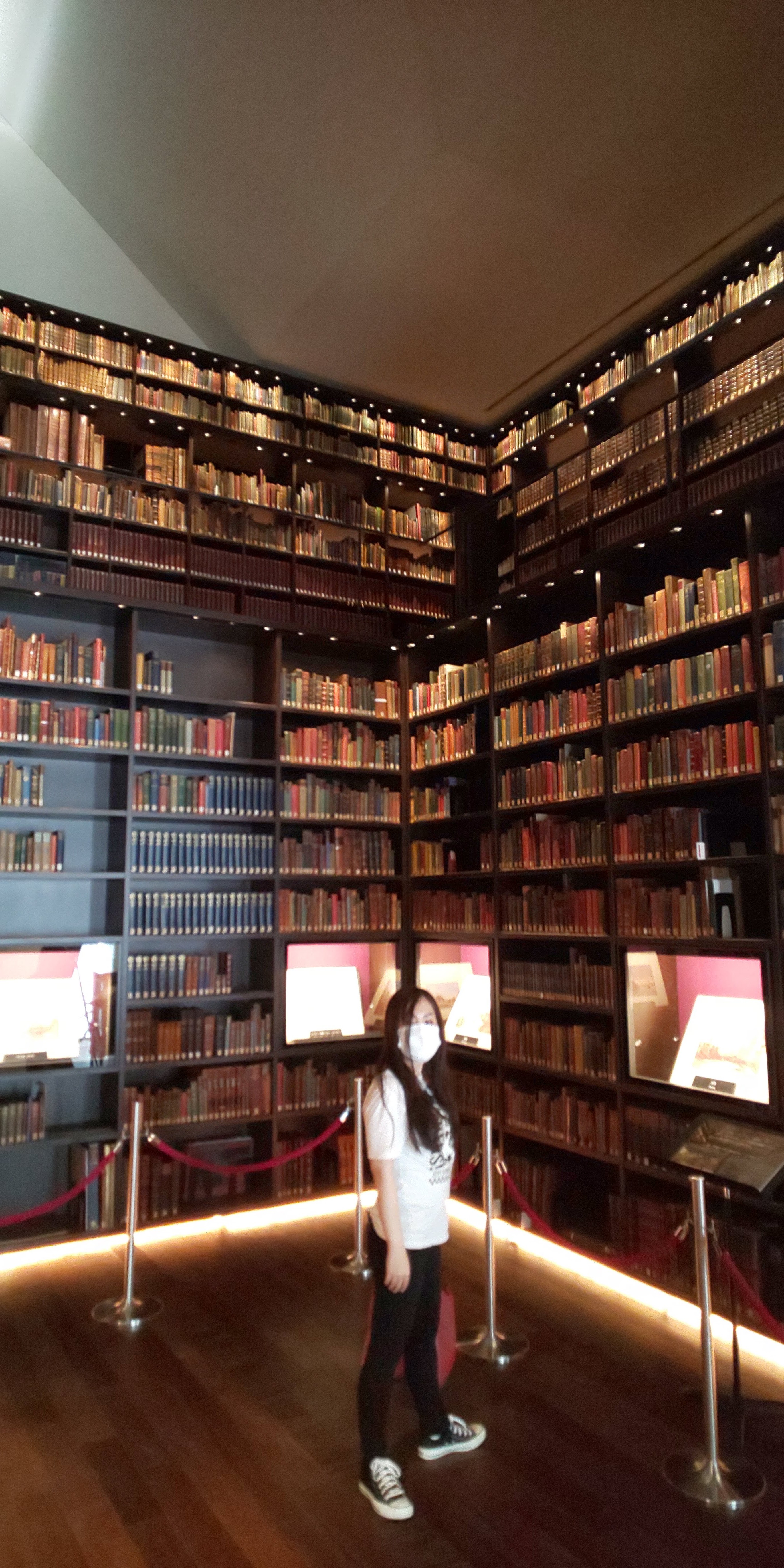 �u���m���Ƀ~���[�W�A���v�� ��� �� ���� �� �V�тɂ䂫�܂����B