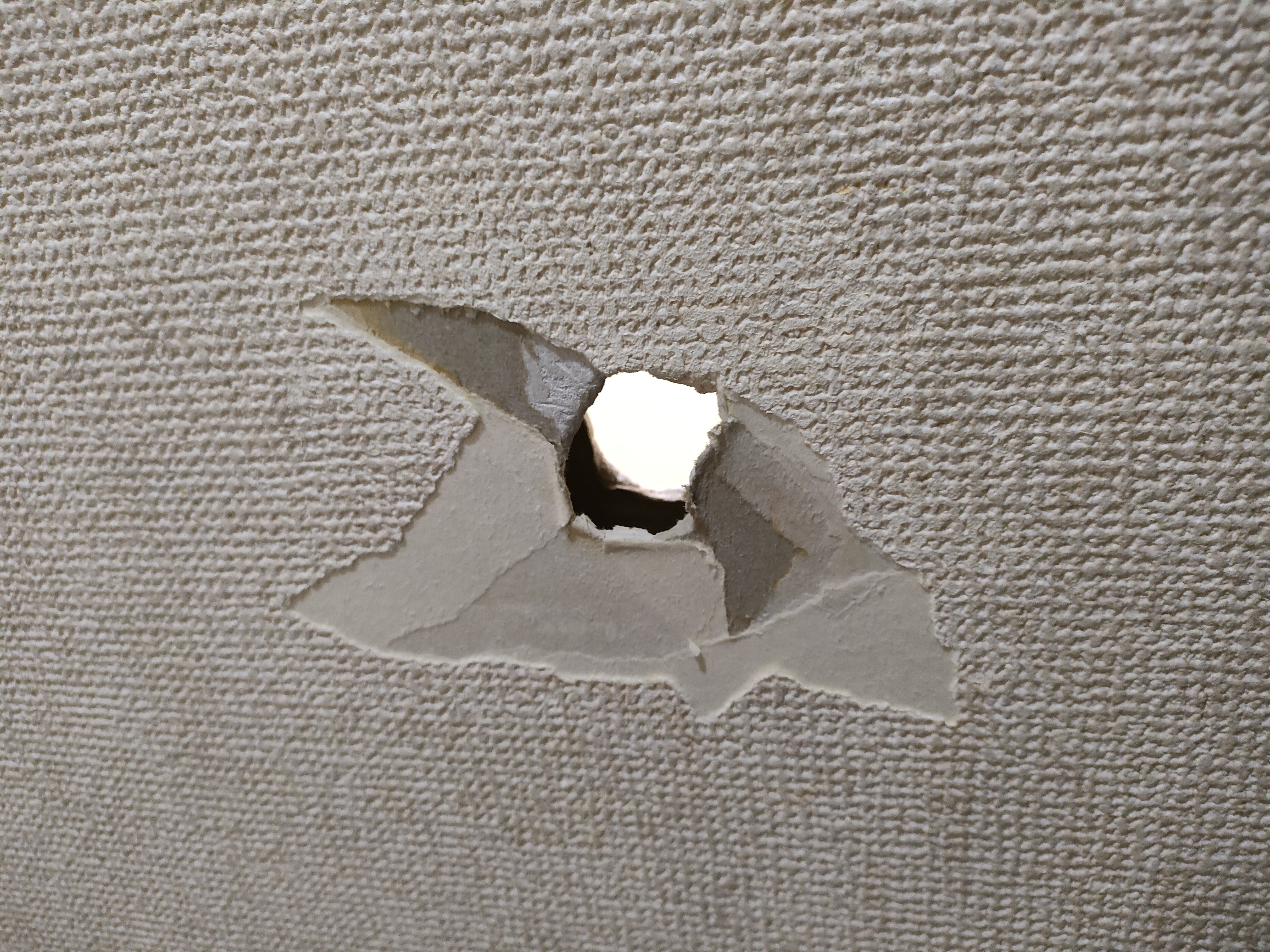 ȂlB(gC猺ւ֊ђʂǂ̌)