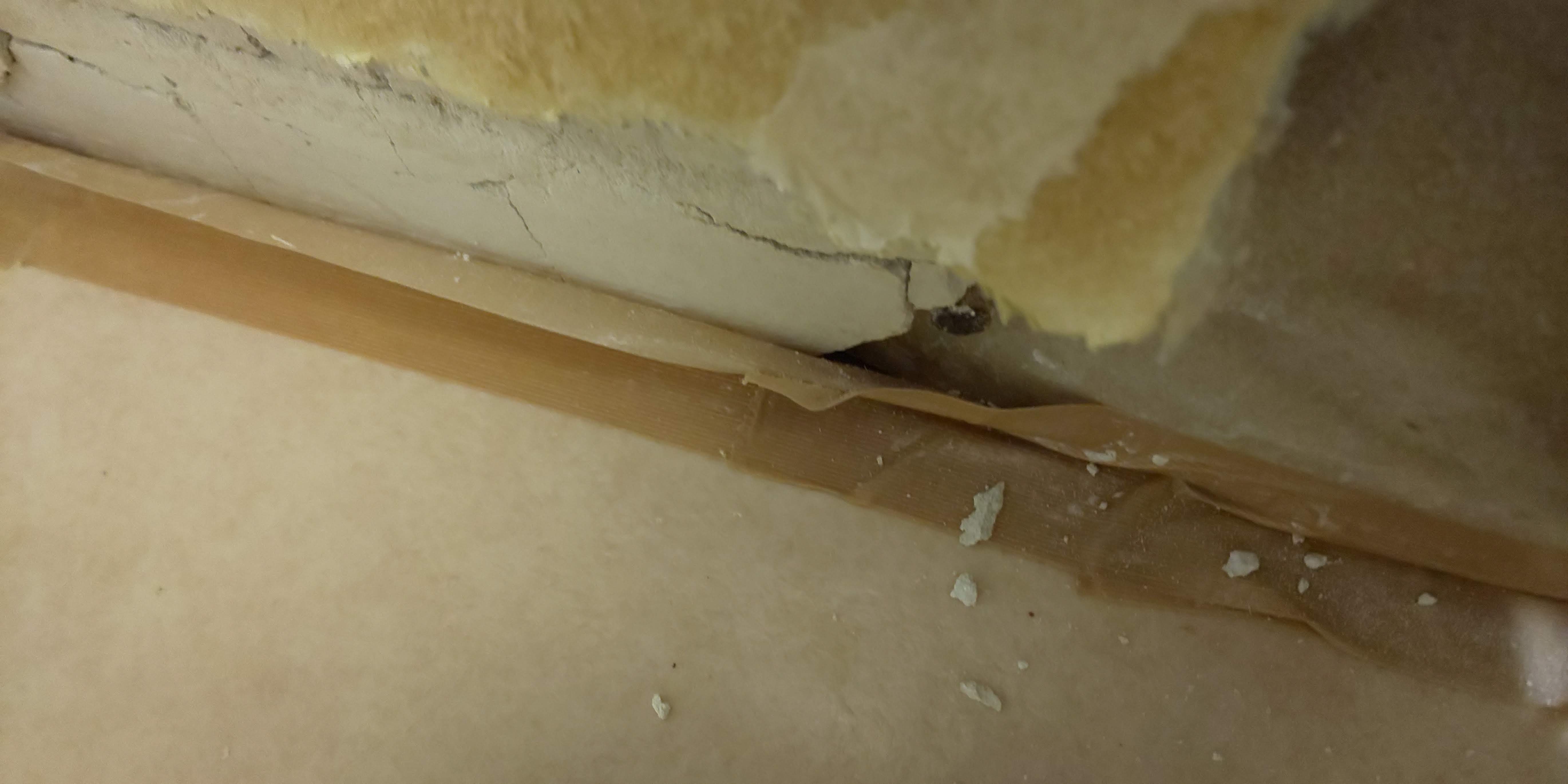 �摜�̉E�����A�΍p���疳���Ȃ��Ĕ���1���݂̂ƂȂ��Ă��܂��B���ɂ��j�ꂻ���ȋɔ��̎��̂݁B�C������ɂ��i��������A���ʓ|�Ȃ��ƂɂȂ��Ă��܂��B