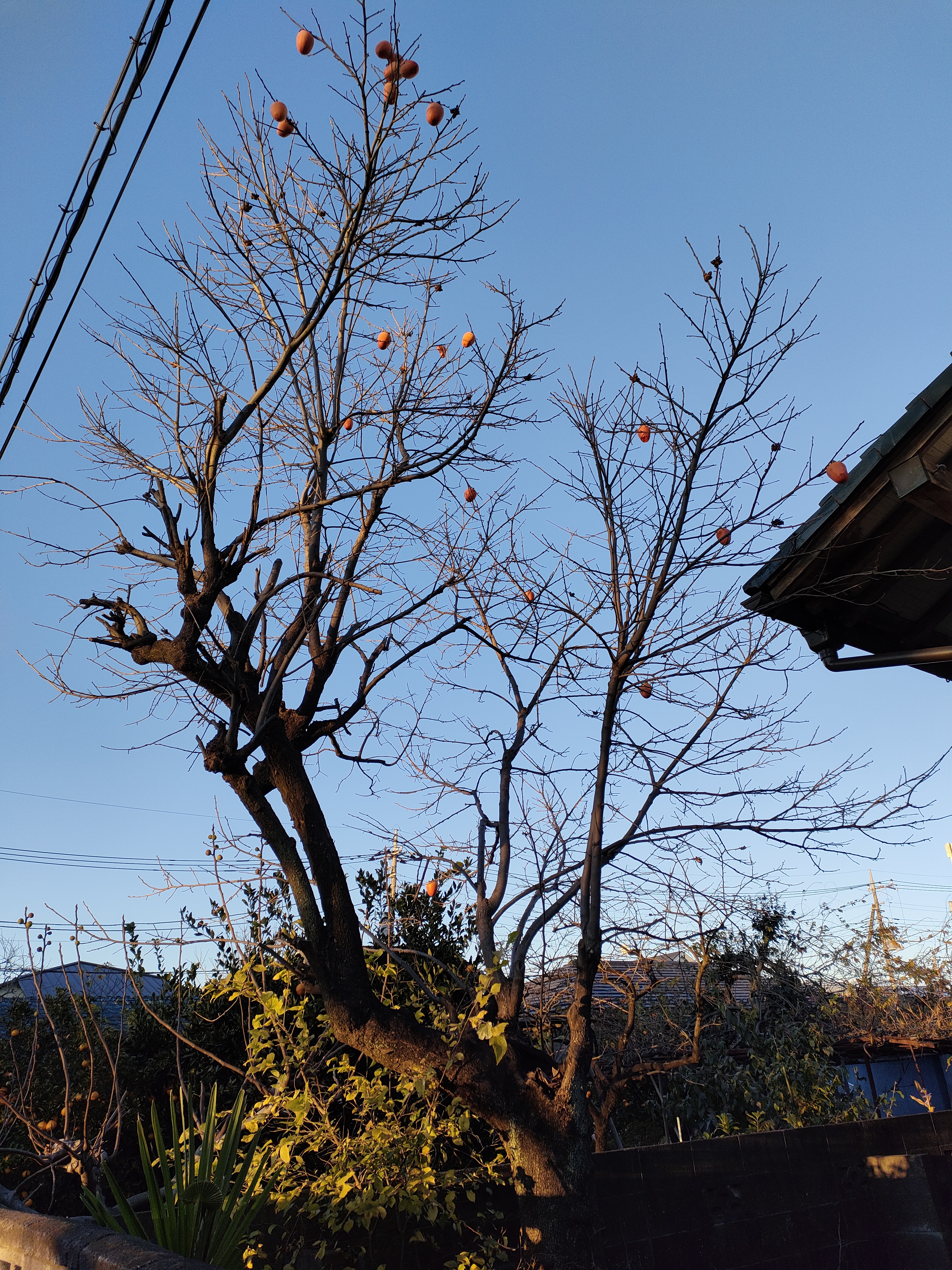 �Ō�̗��K�B����A�ɓޒ��B