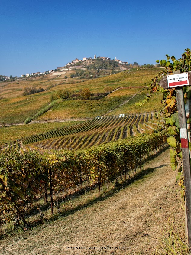 La Cappella del Barolo, chiesa colorata nelle Langhe a La Morra