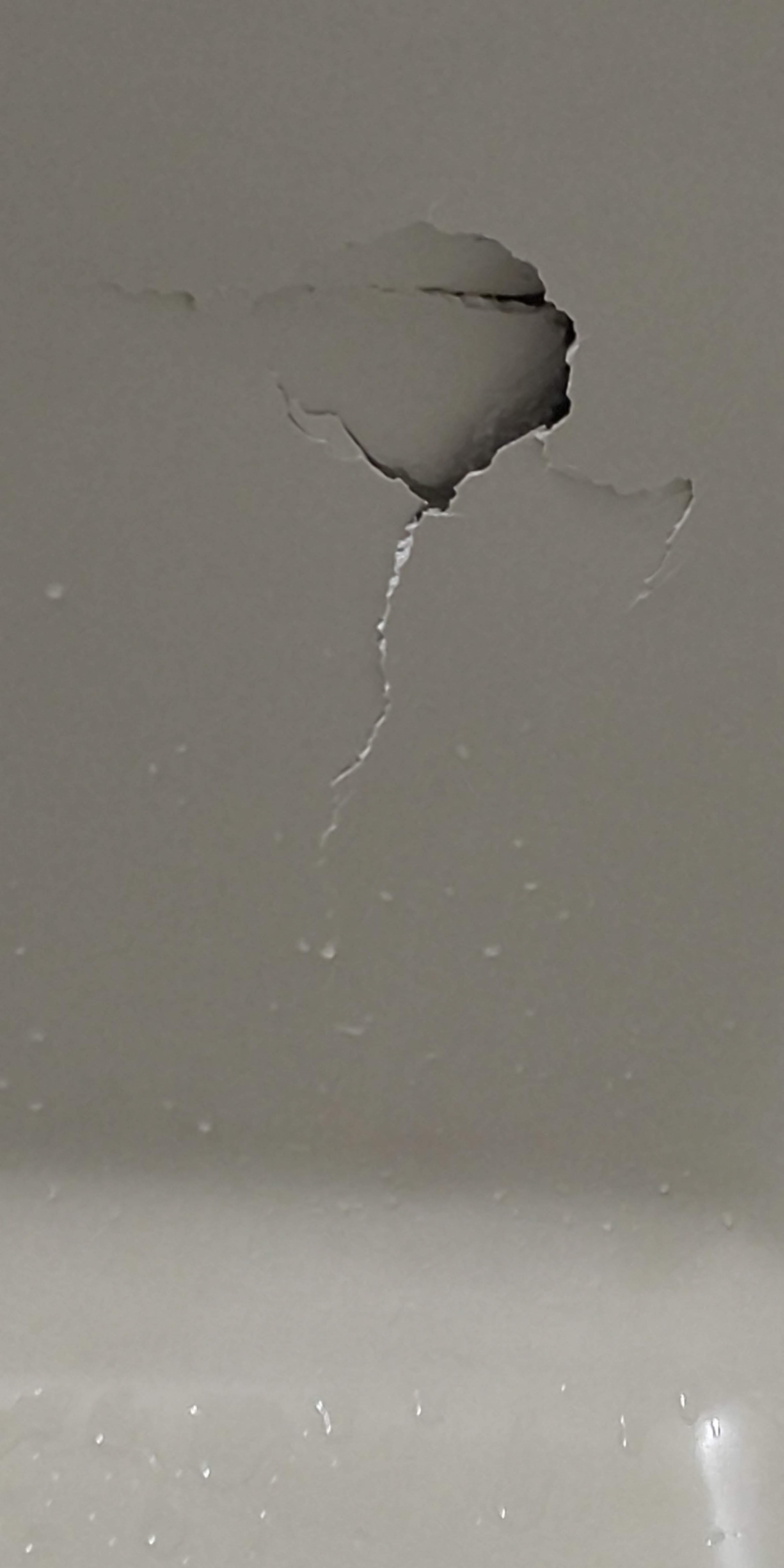 ����� �Ƃ��݂� ���� �� �����C����オ���Ă��܂�����A�����Ɍ����󂢂Ă��܂����B(#�Ƃ��݂�����e��)