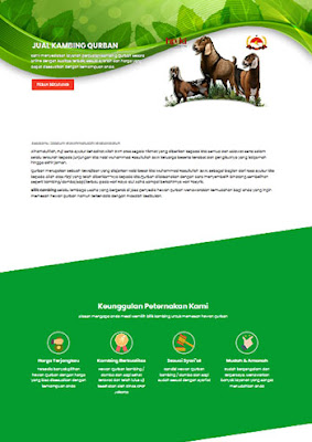 portofolio 19
