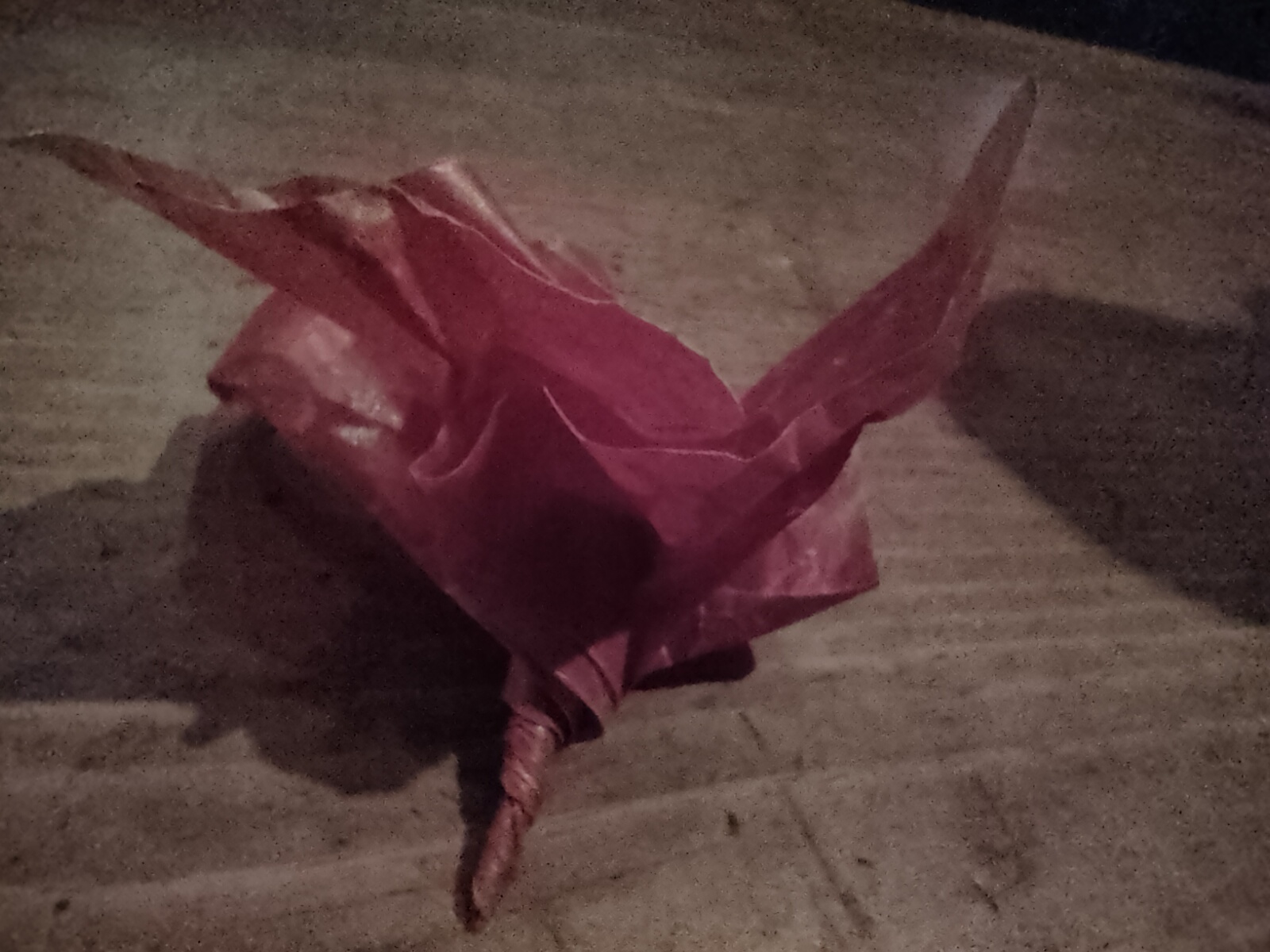 �u�R�C�̒��� Juzu���v�B�z�C�ȊF����̌|�\�B�ϗ������Ă��������B����͂���͖����Ȉ��ł����B(2022/04/10 Sun)