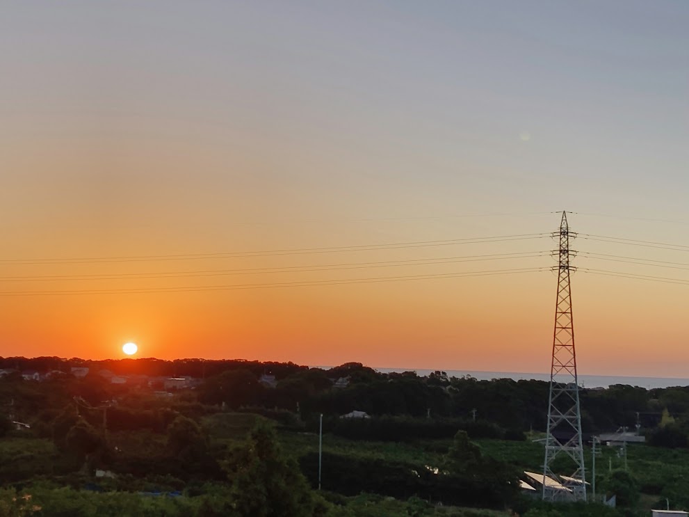 北東のみかんとして。