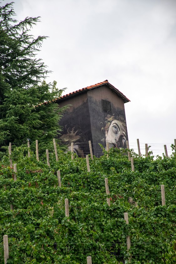  Camo Museo a Cielo Aperto nelle Langhe