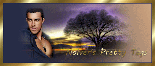 Nolver's Pretty Tags