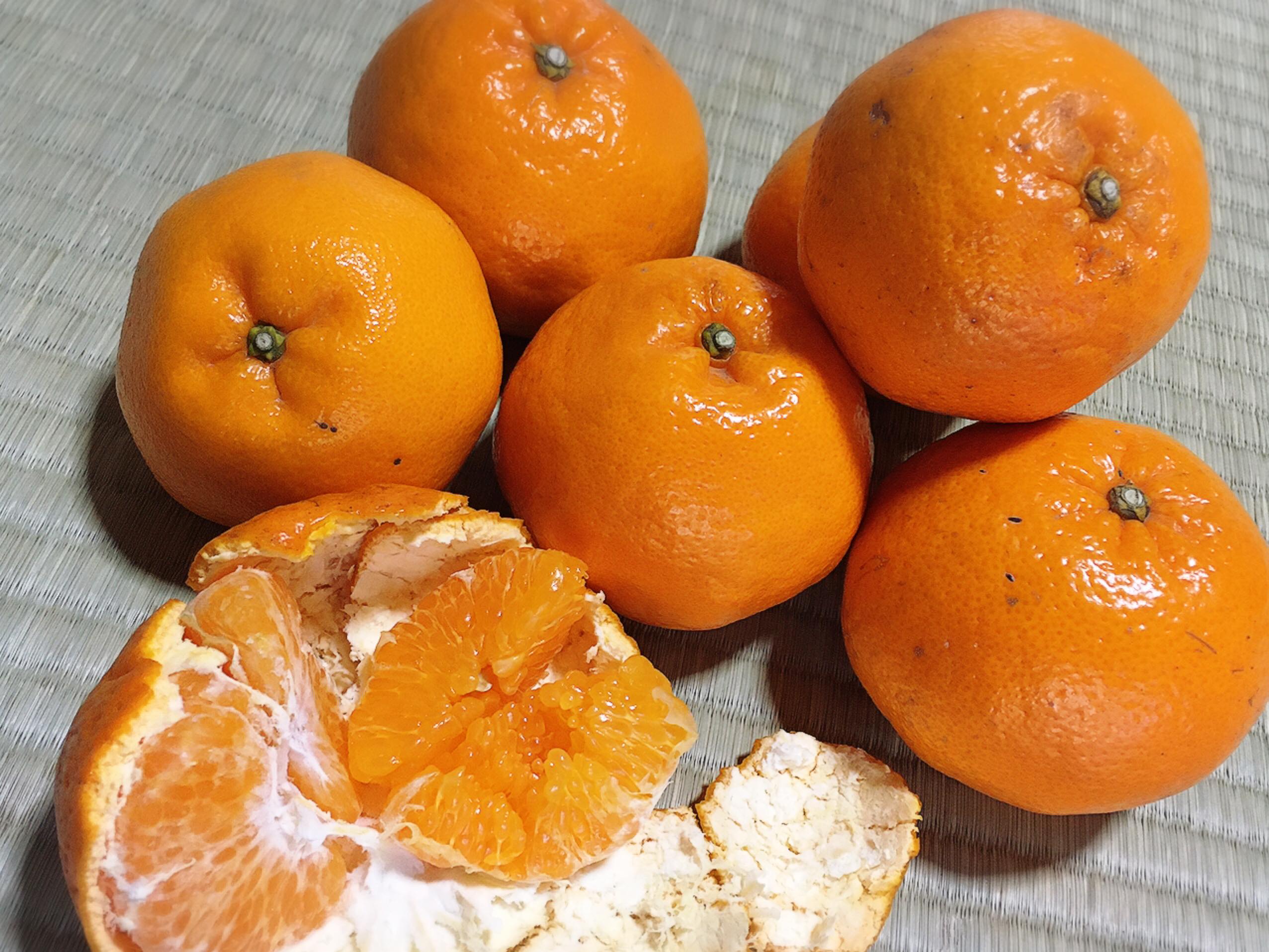 �u�͂�݃I�����W�v�B���Ȃ��ɂ��ЂƂB�ڂ��ɂ��ЂƂB���˓��̓�����͂����t�̕ւ�B