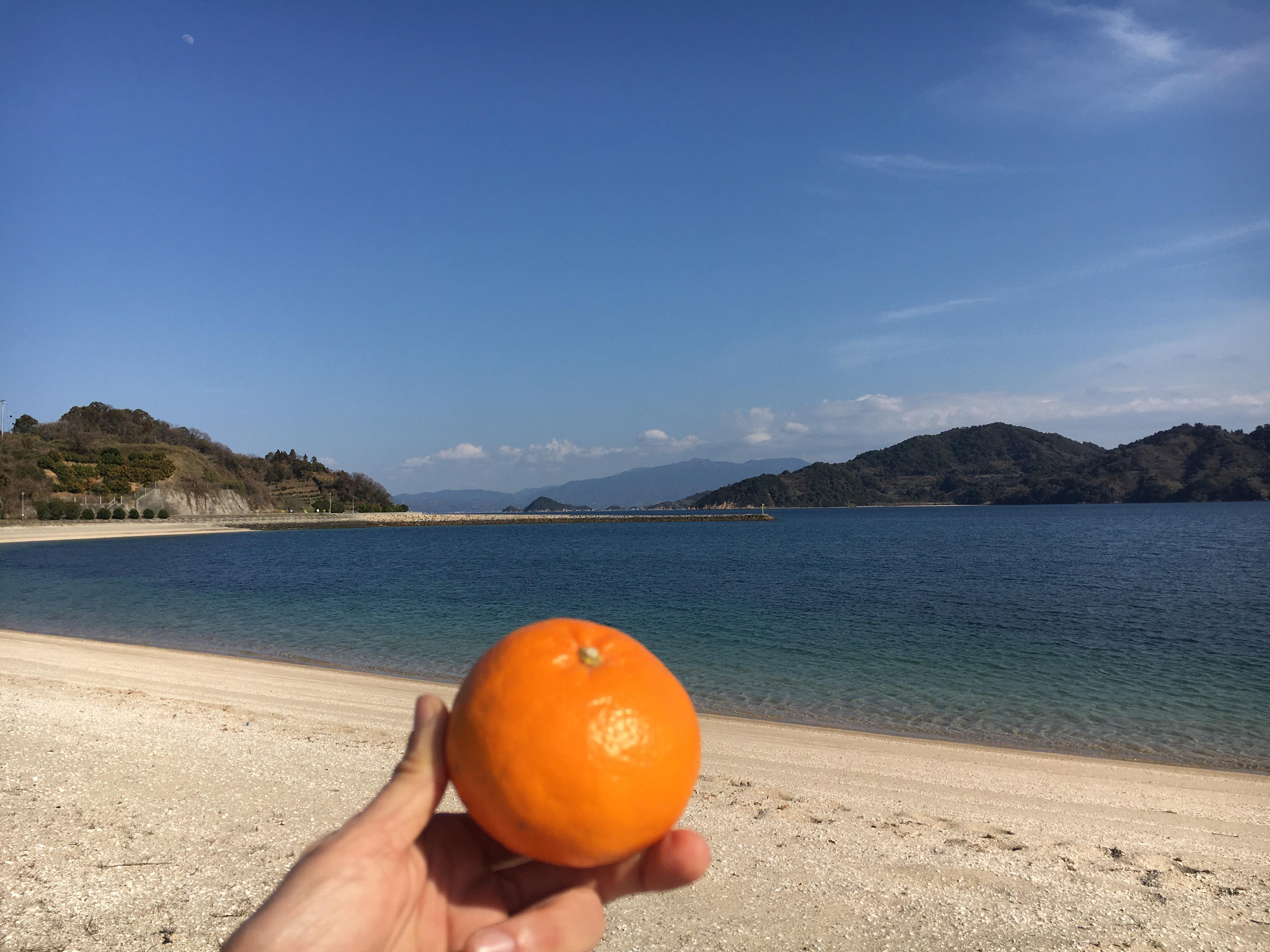 �u�͂�݃I�����W�v�B���Ȃ��ɂ��ЂƂB�ڂ��ɂ��ЂƂB���˓��̓�����͂����t�̕ւ�B