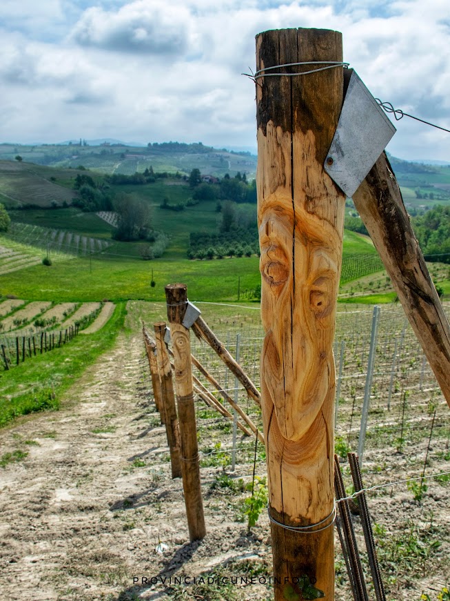 La vigna dij ciuc - La vigna degli ubriachi a Dogliani