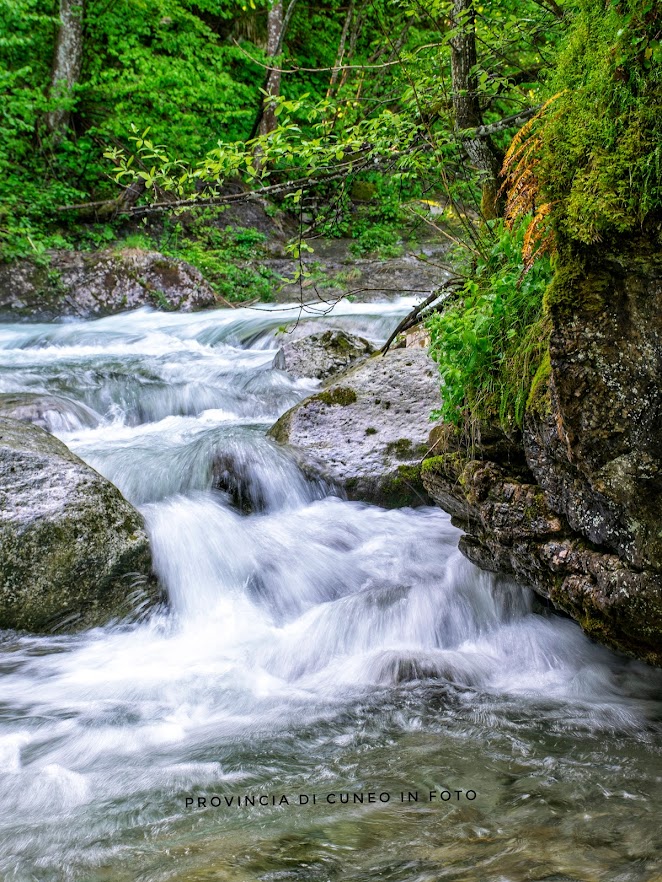 Fotografie  La Valle Pesio nel Parco Naturale del Marguareis