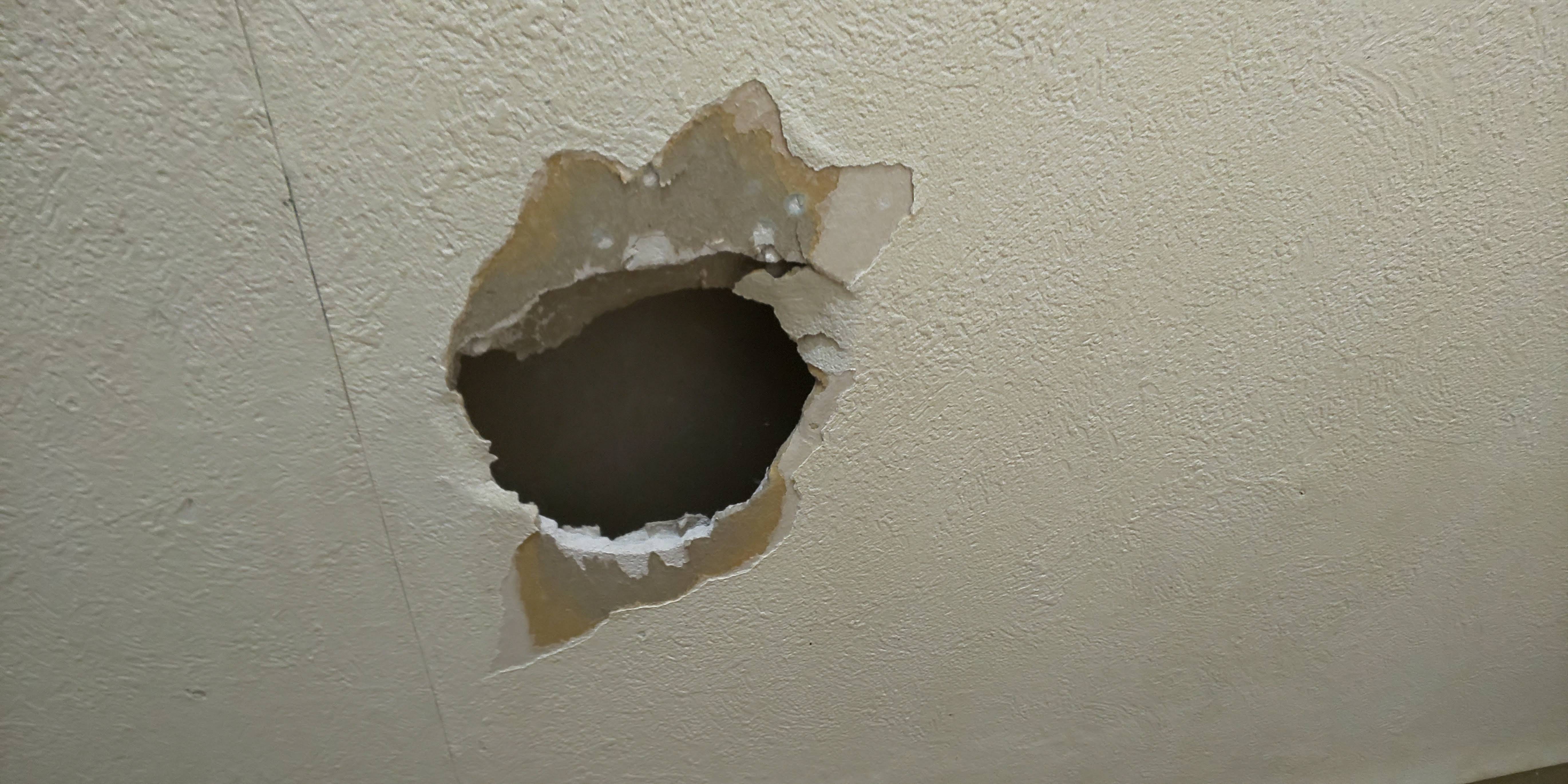 ����Ă܂����B(�g�C���̕ǂɋ󂢂���)