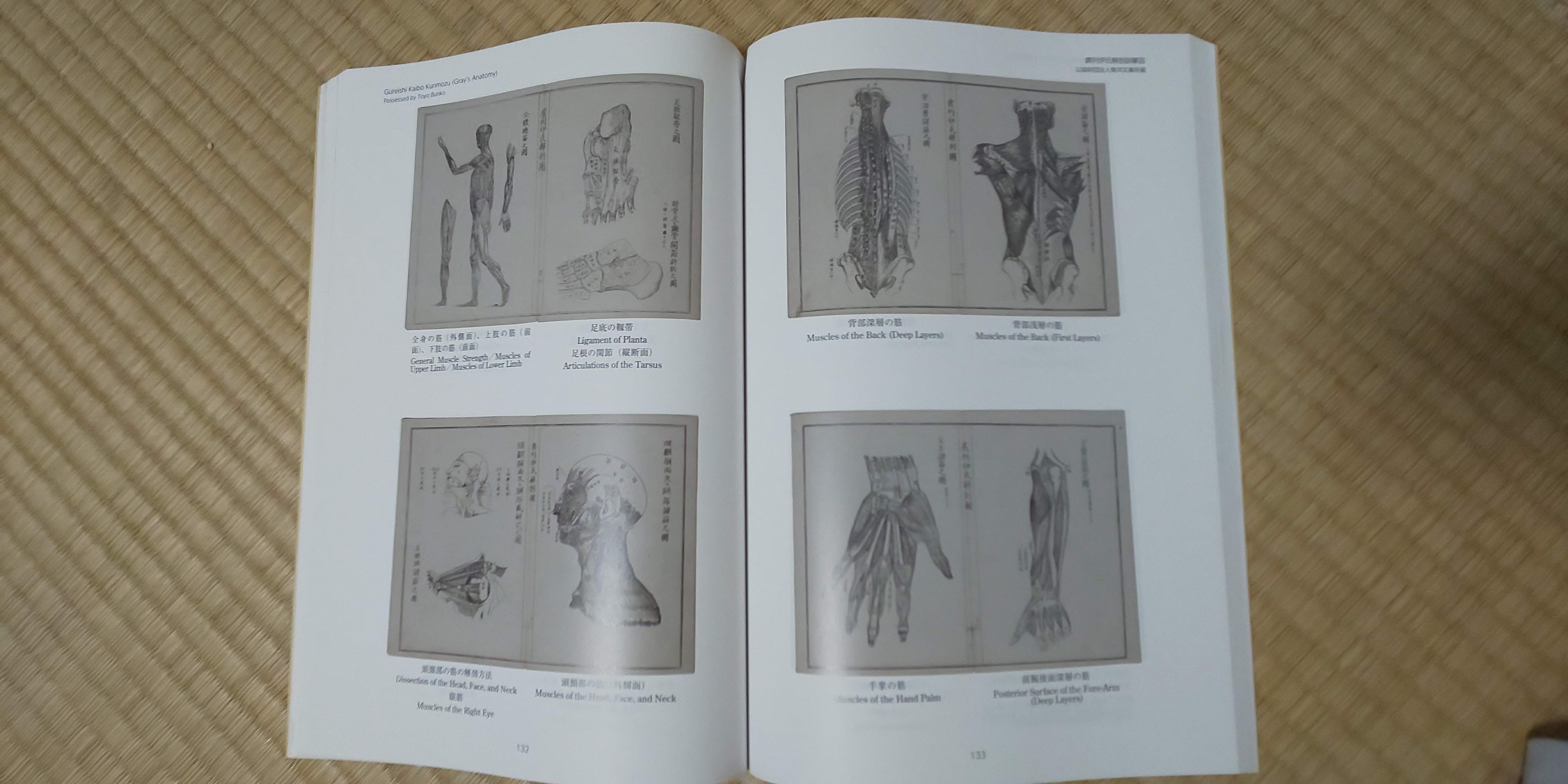 ���Ɏ���U�P�֐} (���ꂢ�������ڂ����������) ���v���c�@�l���m���ɏ���