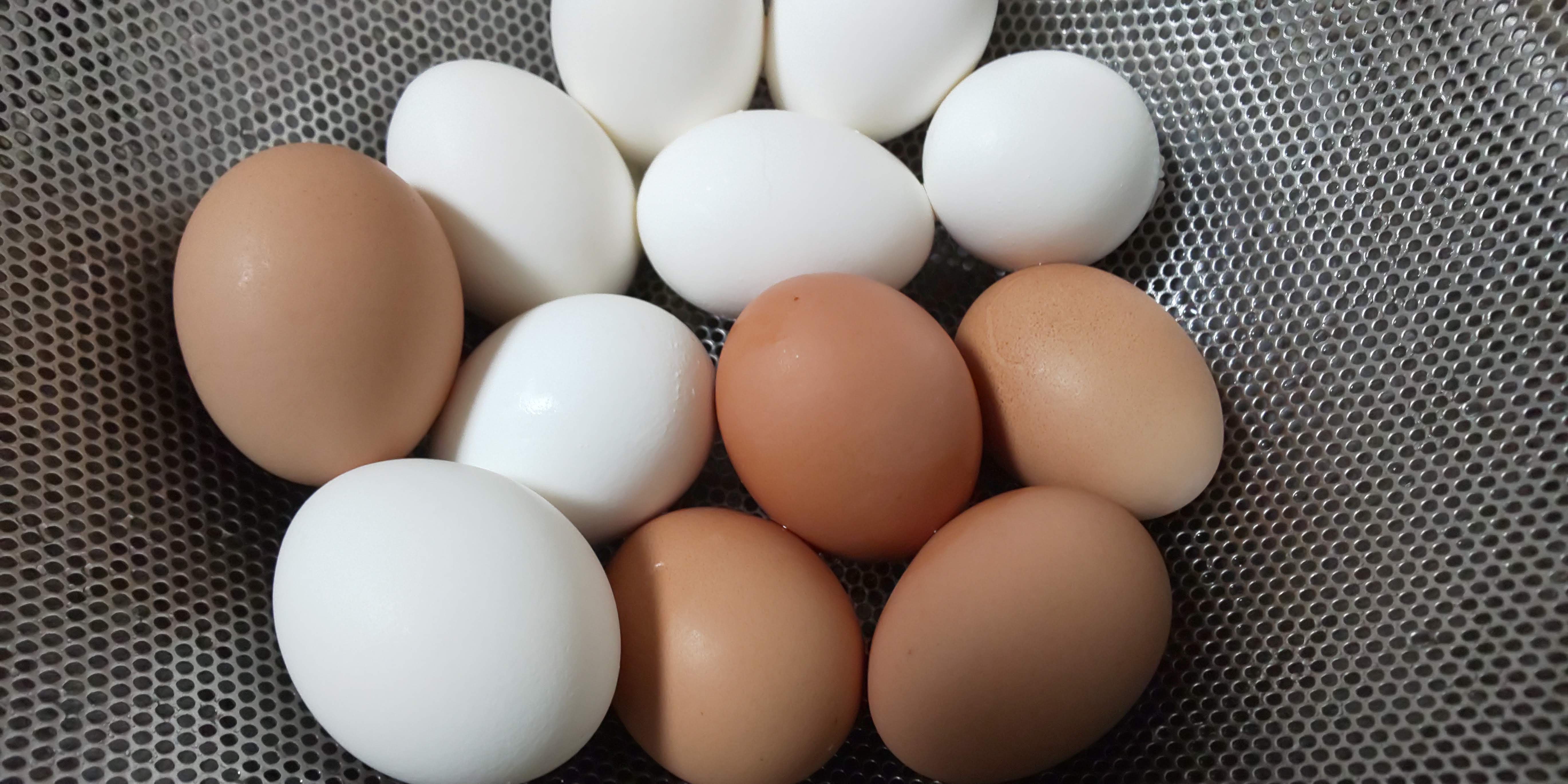 [�j�̗���] �����₷����ŗ��̍��������߂āB