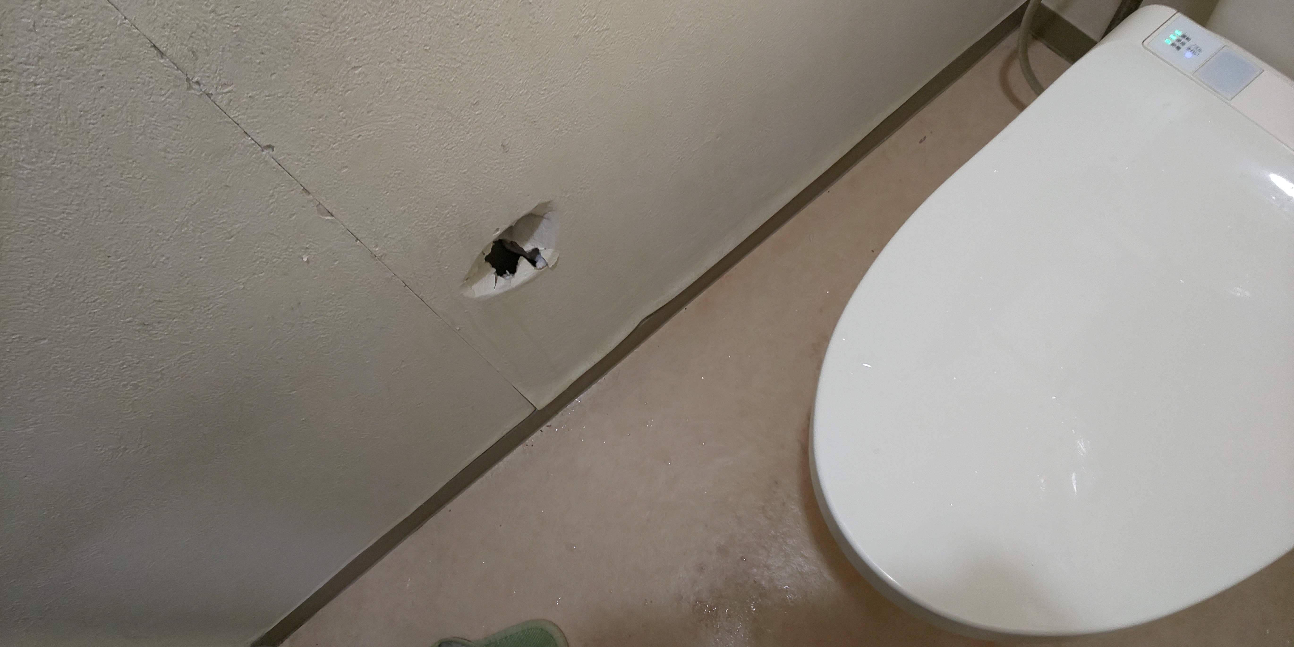 �g�C���̕ǂɋ󂢂������A�Ƃ��݂�����̕G�̃��C���Ƀp�[�t�F�N�g�Ƀt�B�b�g�B