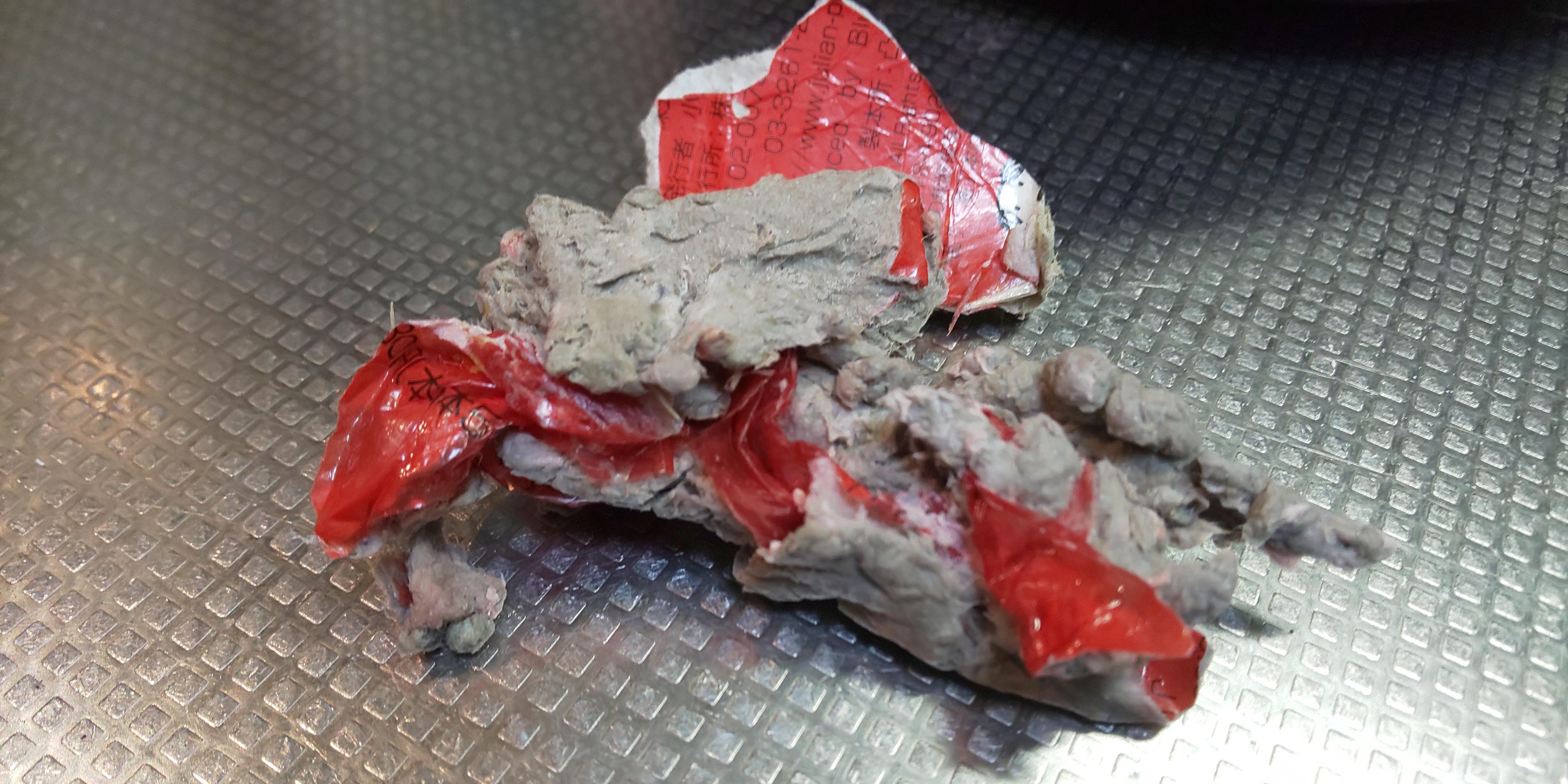 �Ƃ��݂� ���� ��B�G�{�́A������ǂ񂾂肷����̂ł����āA�H�ׂ���̂ł� �����񂹂�B��������A�Ȃɂ�� �������� ����Ă��� �Ƃ��݂� ���� �� �������� �����o�������́B