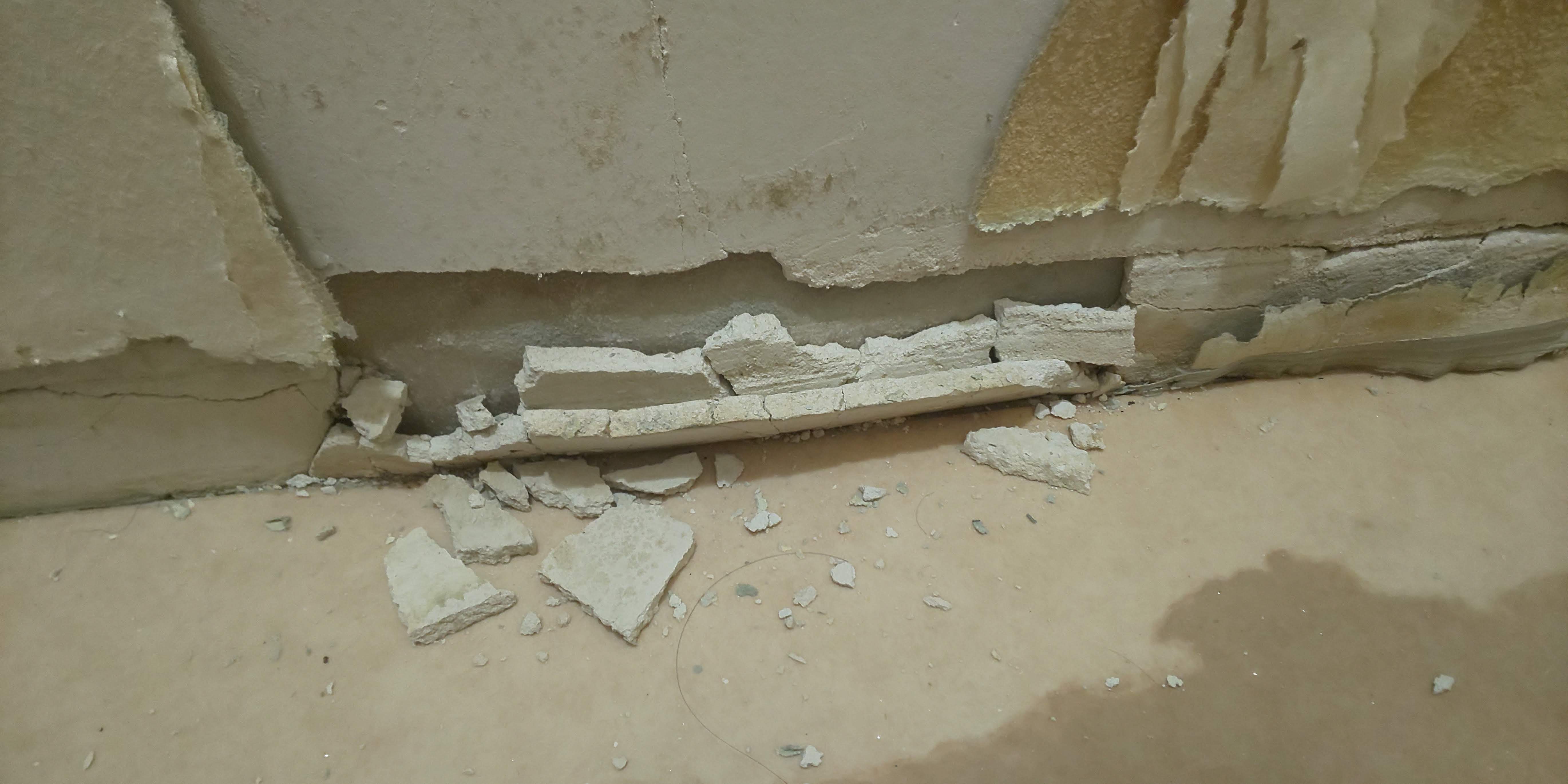 �Ђ� !! �傫���ق��̌��B���̕�C�ނ܂Ŕ�������Ă܂����B���̂��łɁA���ɐڂ��鉡�� ? �܂ł����ꏏ�Ɉ�����������ĂāB