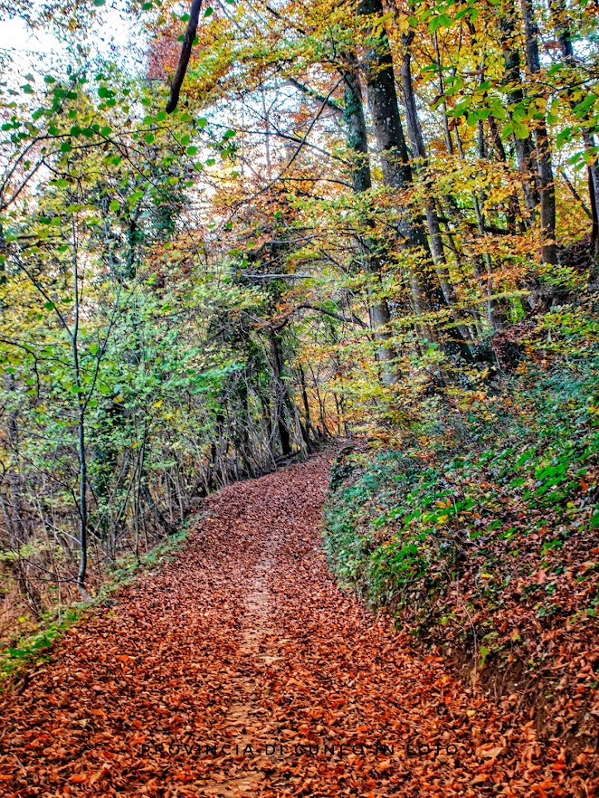 Fotografie Il Sentiero dei Frati - Valgrana