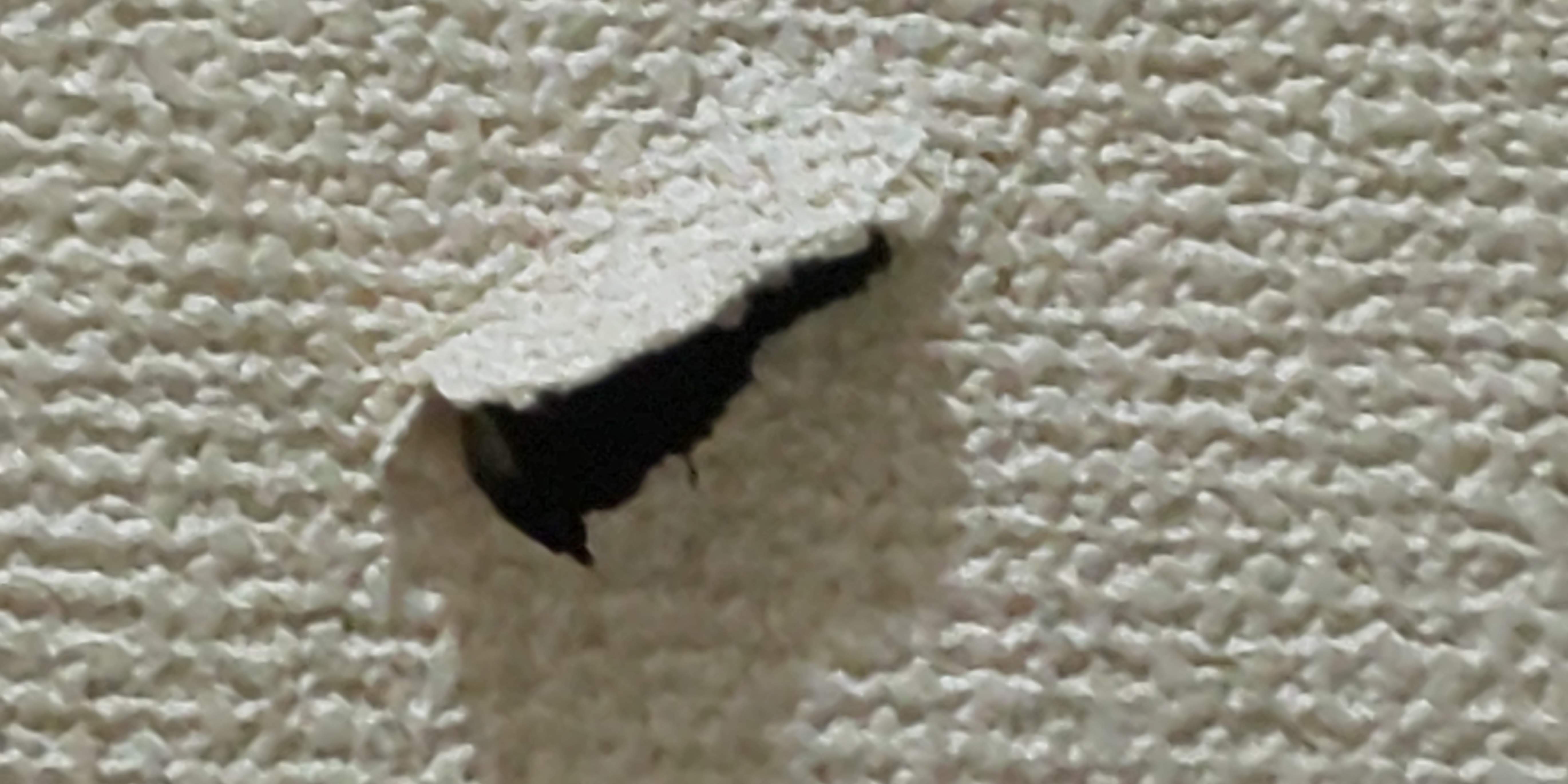 ތA Ƃ݂ BAɊђ !! (#Ƃ݂e) Ȃŵ݂ŁAgC̕ǂ̌葱B ŌւgC̒`Ă܂悤ɂȂ܂܂B 瓔肪R̂ŁAgCgpĂƂAւە !!