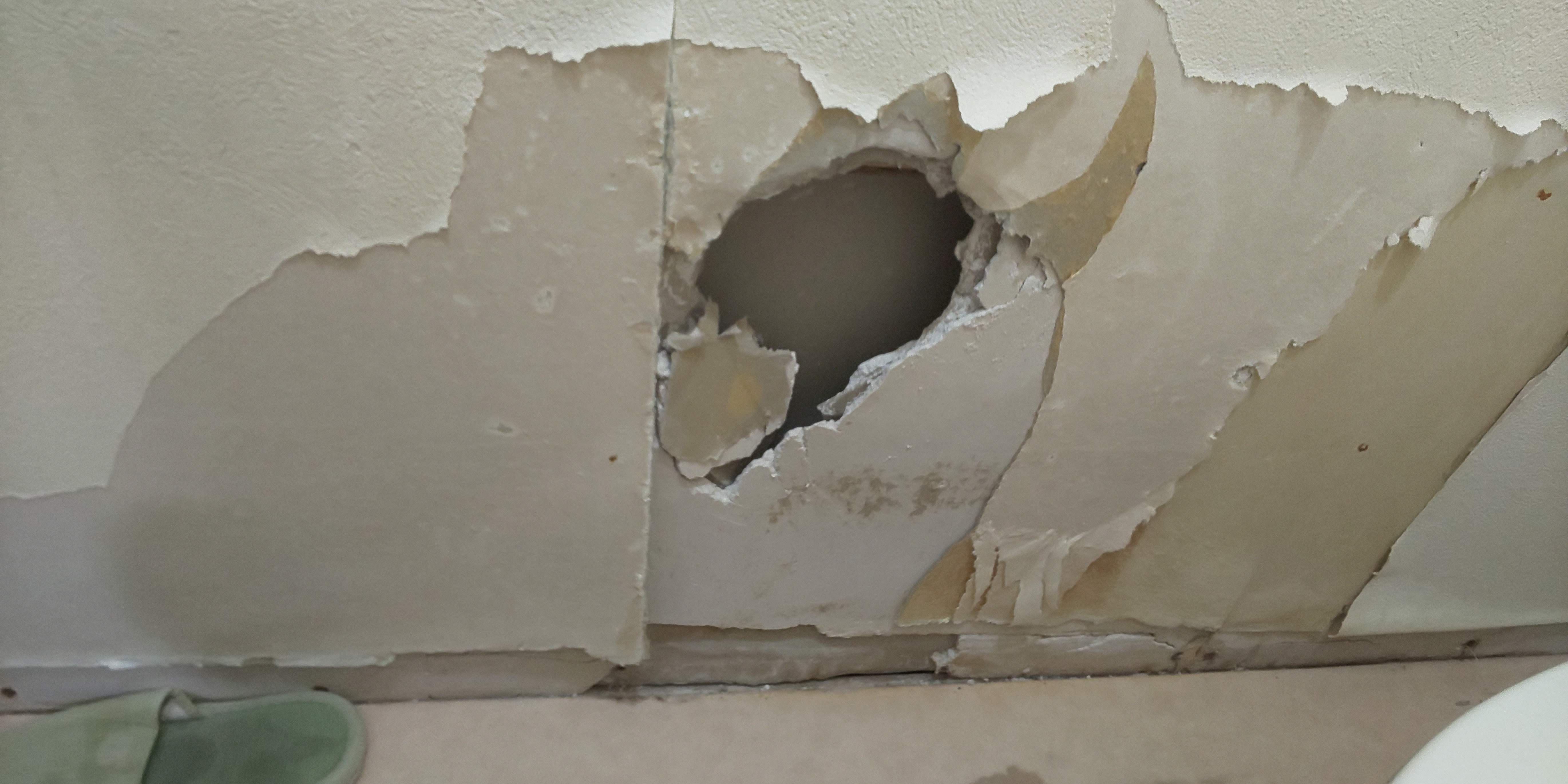 �Ђ� !! �傫���ق��̌��B���̕�C�ނ܂Ŕ�������Ă܂����B���̂��łɁA���ɐڂ��鉡�� ? �܂ł����ꏏ�Ɉ�����������ĂāB