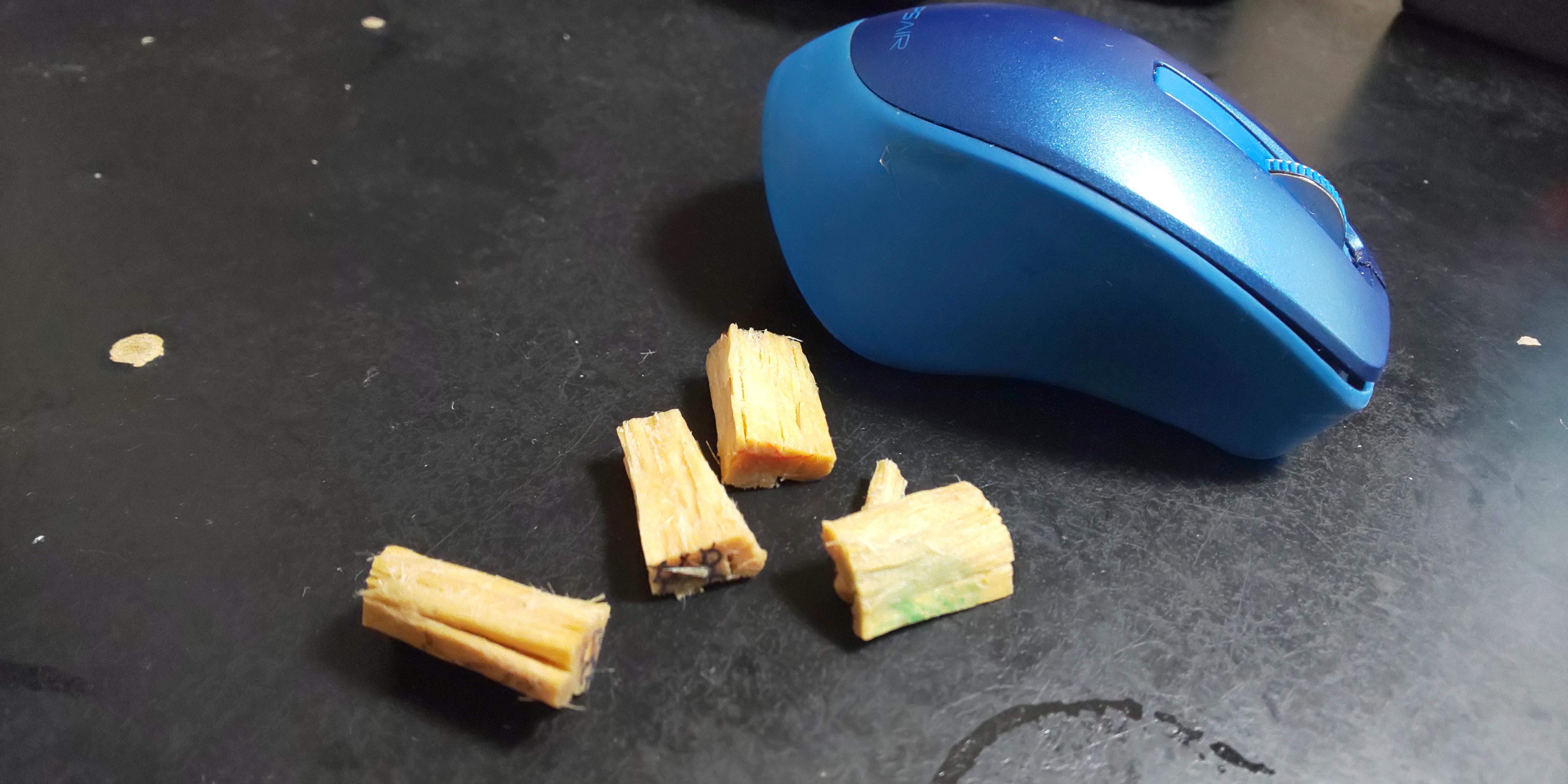 �߉e�B�k�ڂƐ\���܂����T�C�Y����������悤�A�}�E�X�Ƌ��ɁB�����������ł��� (��)w�B