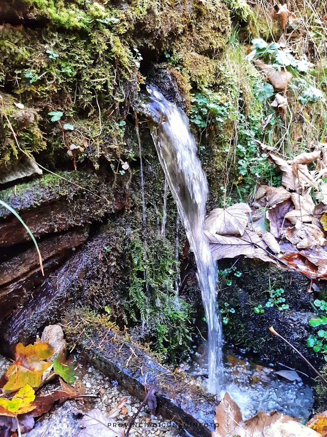 Percorso Botanico  Ponte Tibetano  Becetto