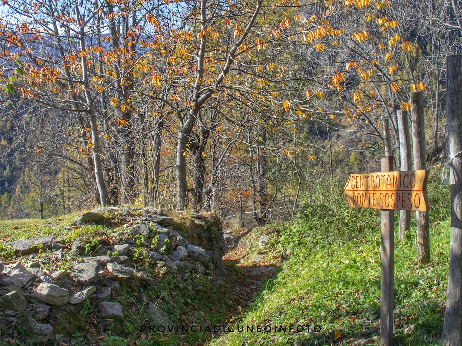 Percorso Botanico  Ponte Tibetano  Becetto