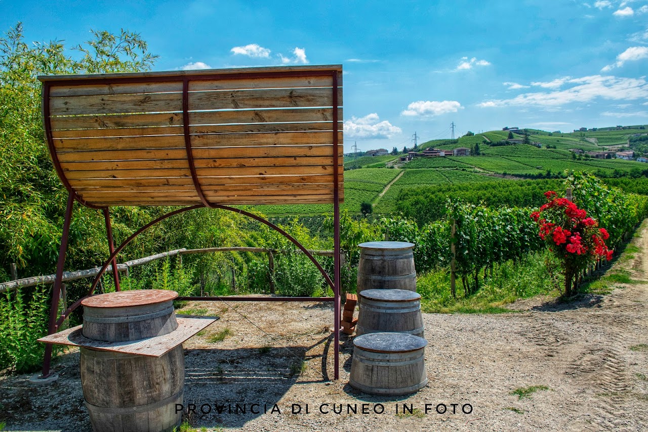 Fotografie Borgo di Neive Langhe