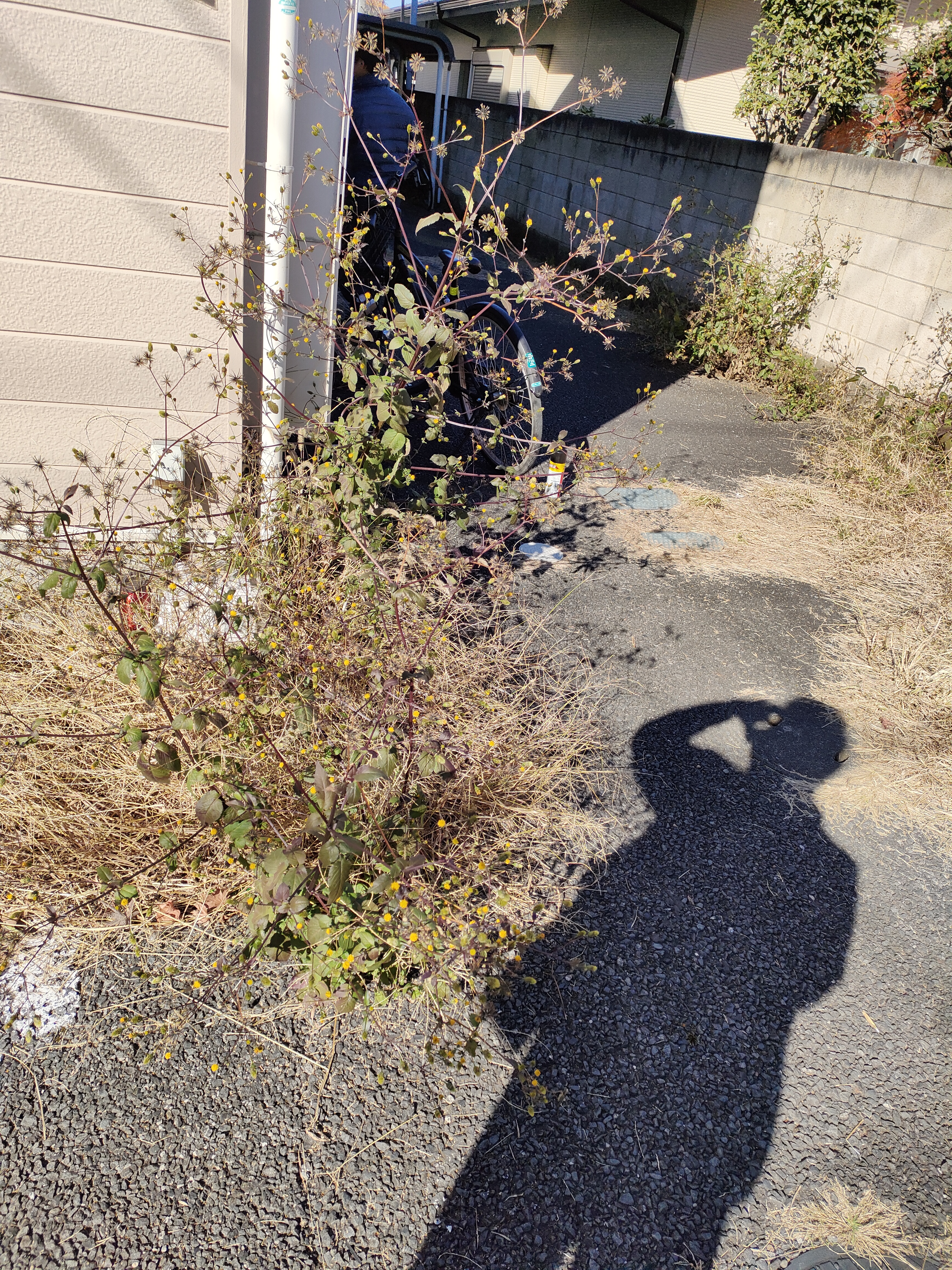 �Ō�̗��K�B����A�ɓޒ��B