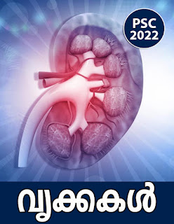 Kerala PSC | Kidneys | Study Notes