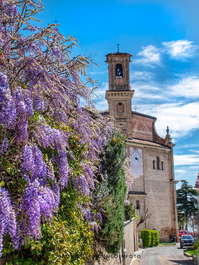 Fotografie Chiesa della Confraternita della SS. Annunziata - Guarene