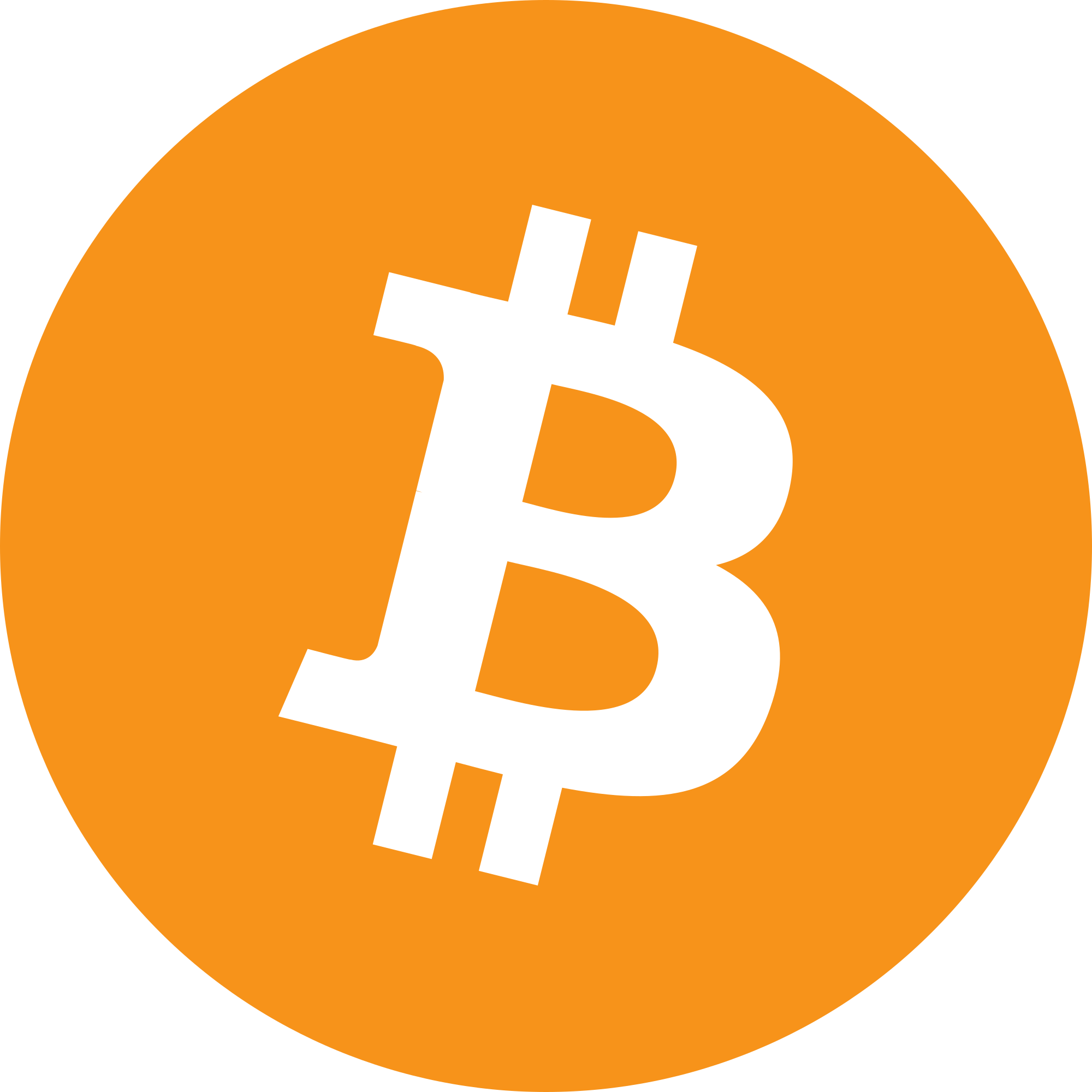 bitcoin logo image