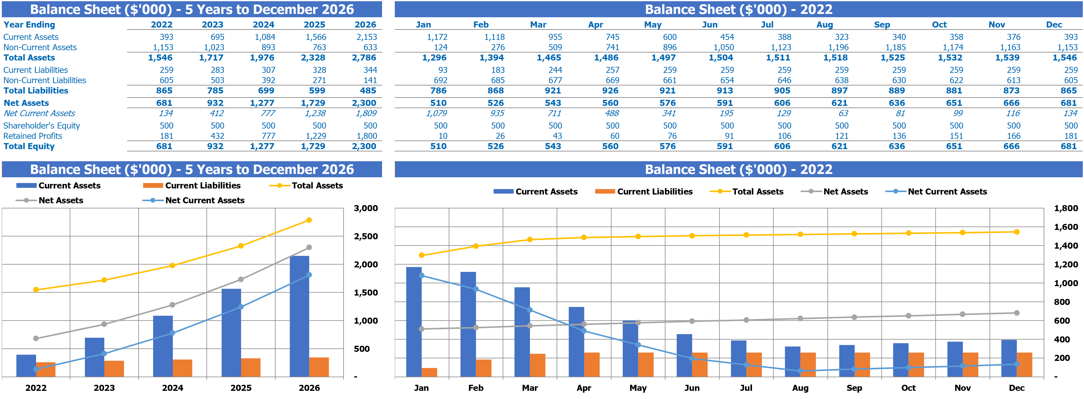 Tutoring Financial Plan Balance Sheet Report