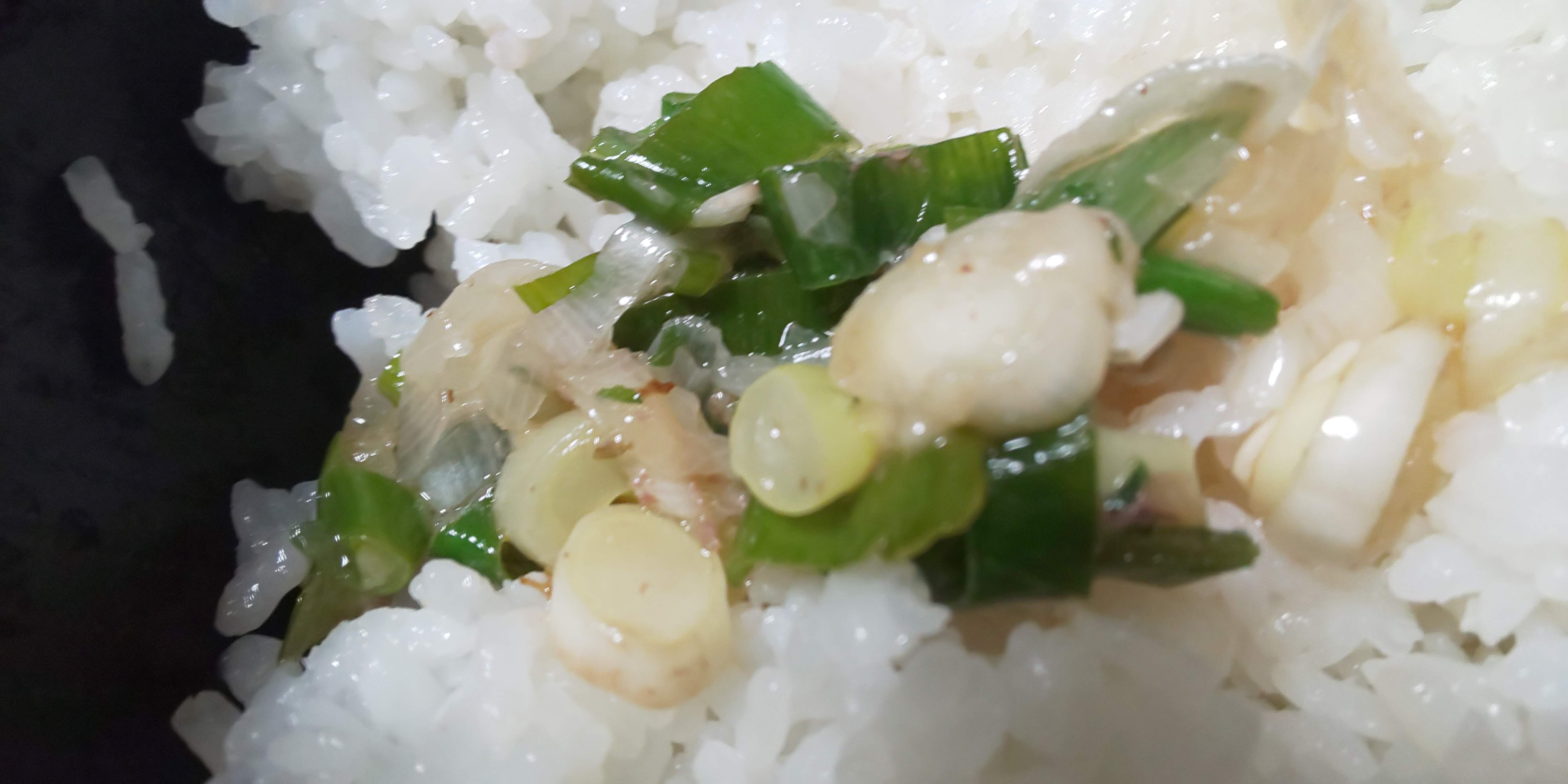 [�j�̗���] �������ȃj���[�{�����Ȃ����ɂ́A�����Ă��܂��B