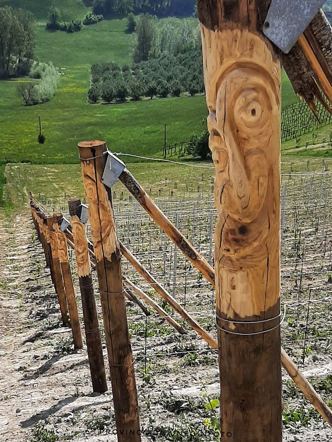 La vigna dij ciuc - La vigna degli ubriachi a Dogliani