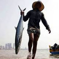 Indian state with highest marine fish