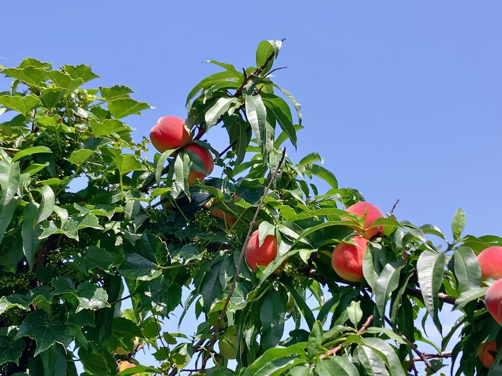 夏の日焼け対策。