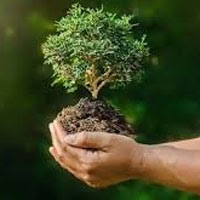 Environmental Performance Index 