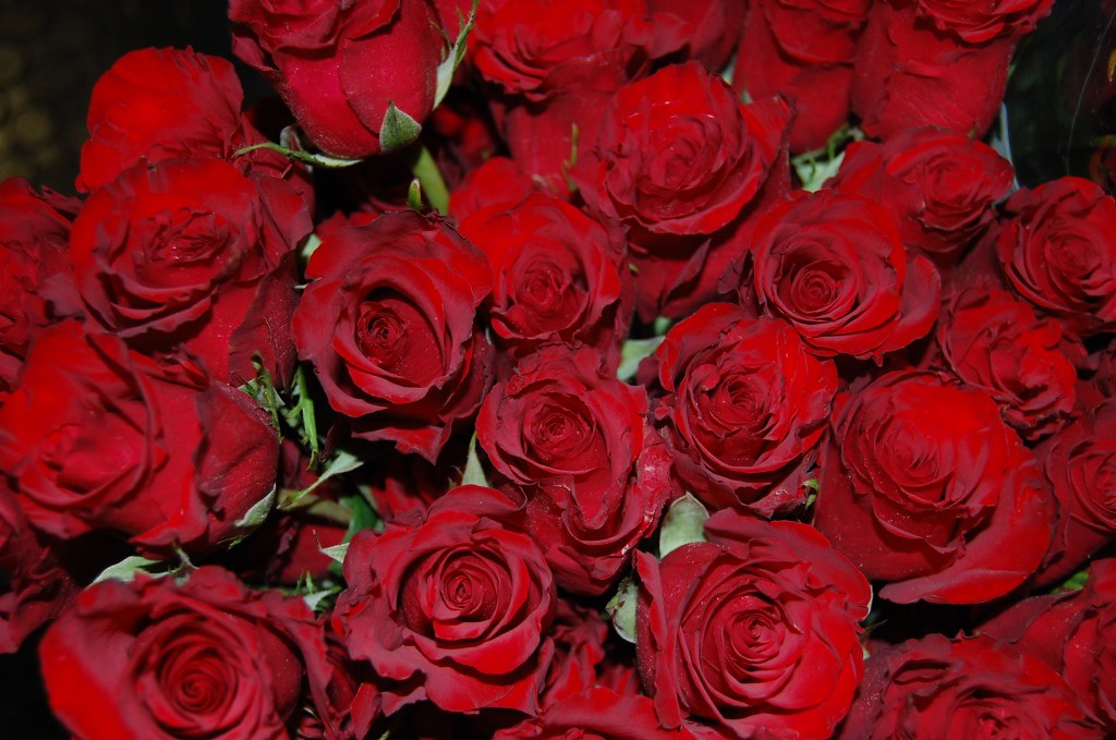 RED ROSE FLORIST - ROSE FLORIST - ARTIFICIAL FLOWER SUPPLIES