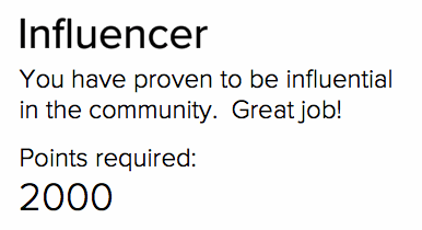 Influencer Description