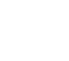 Freespin