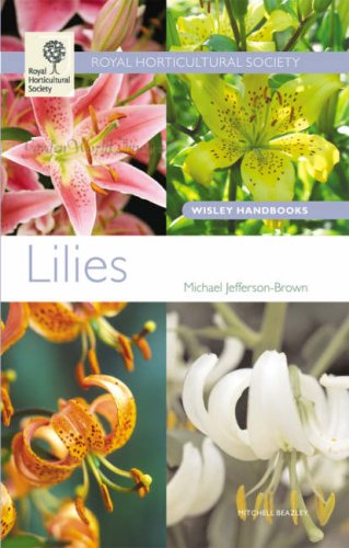 lilies rhs wisley handbooks lily flowers bouquet